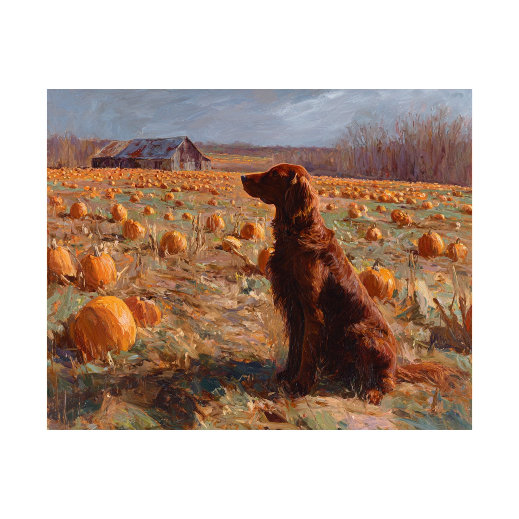 Irish Setter 2- Pumpkin Patch Collection