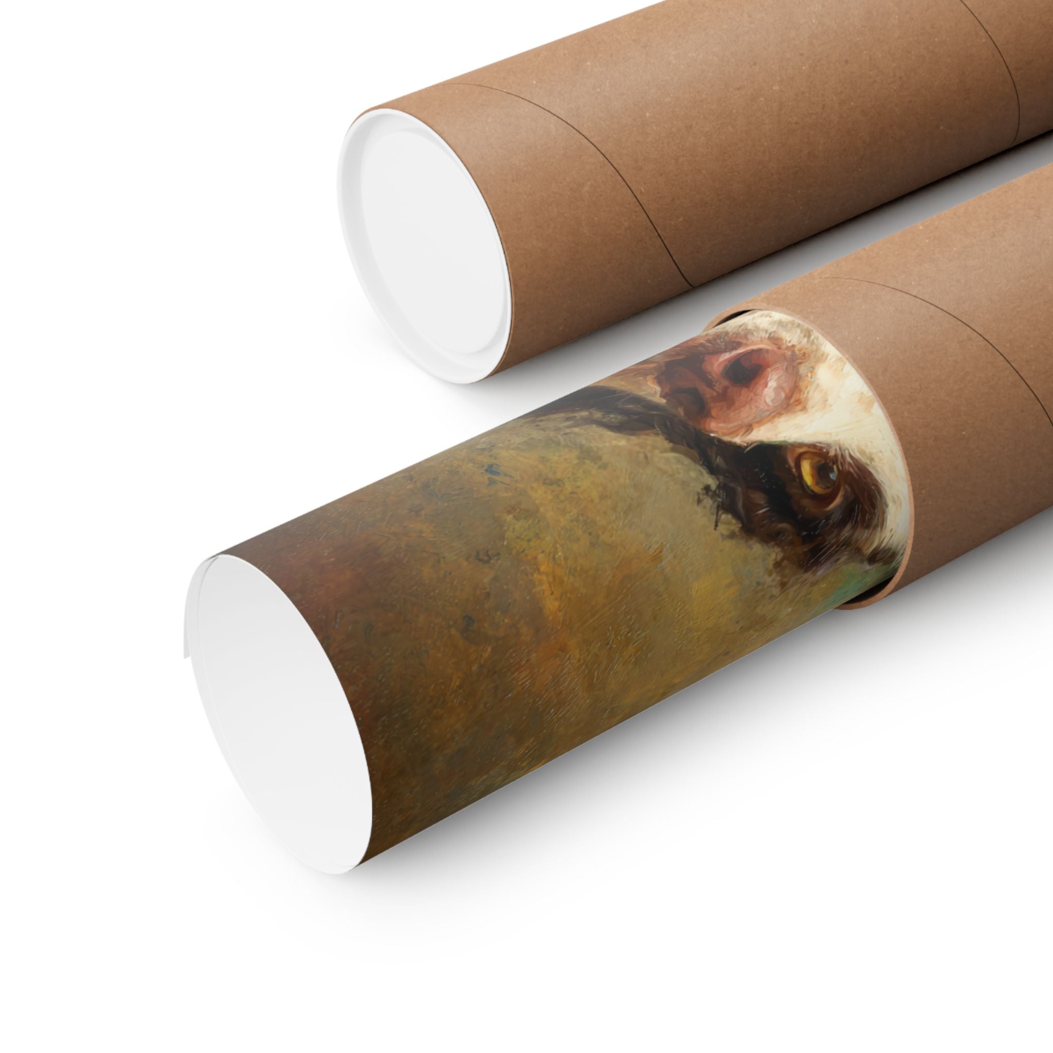 Springer Spaniel 1- Pawty Animals Collection