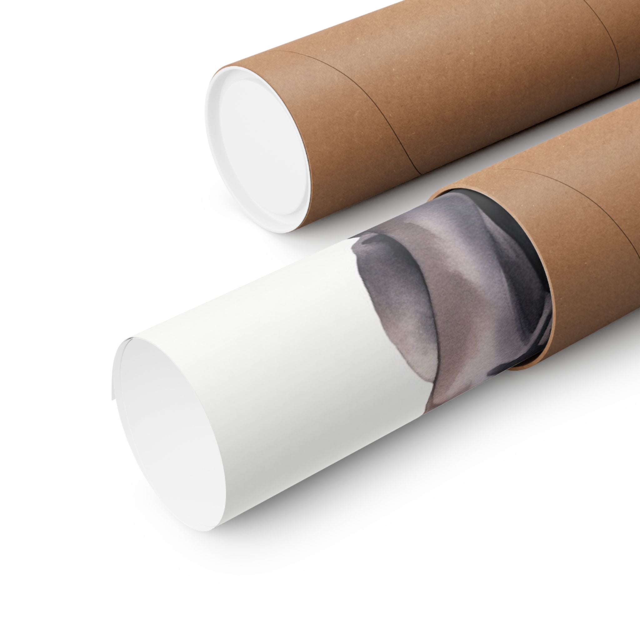 Pit Bull 1- Bow Collection