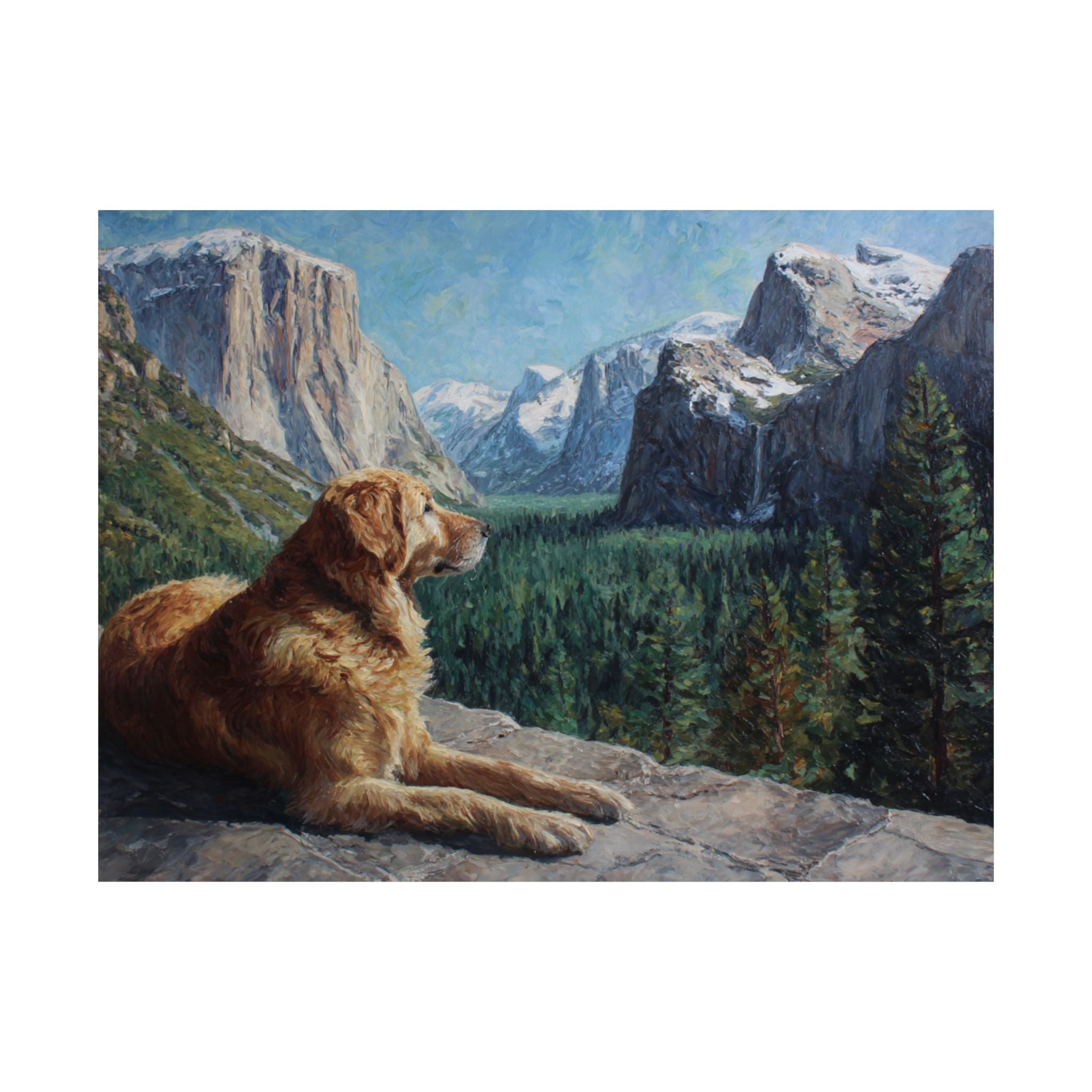 Golden Retriever 2- Adventure Paws Collection