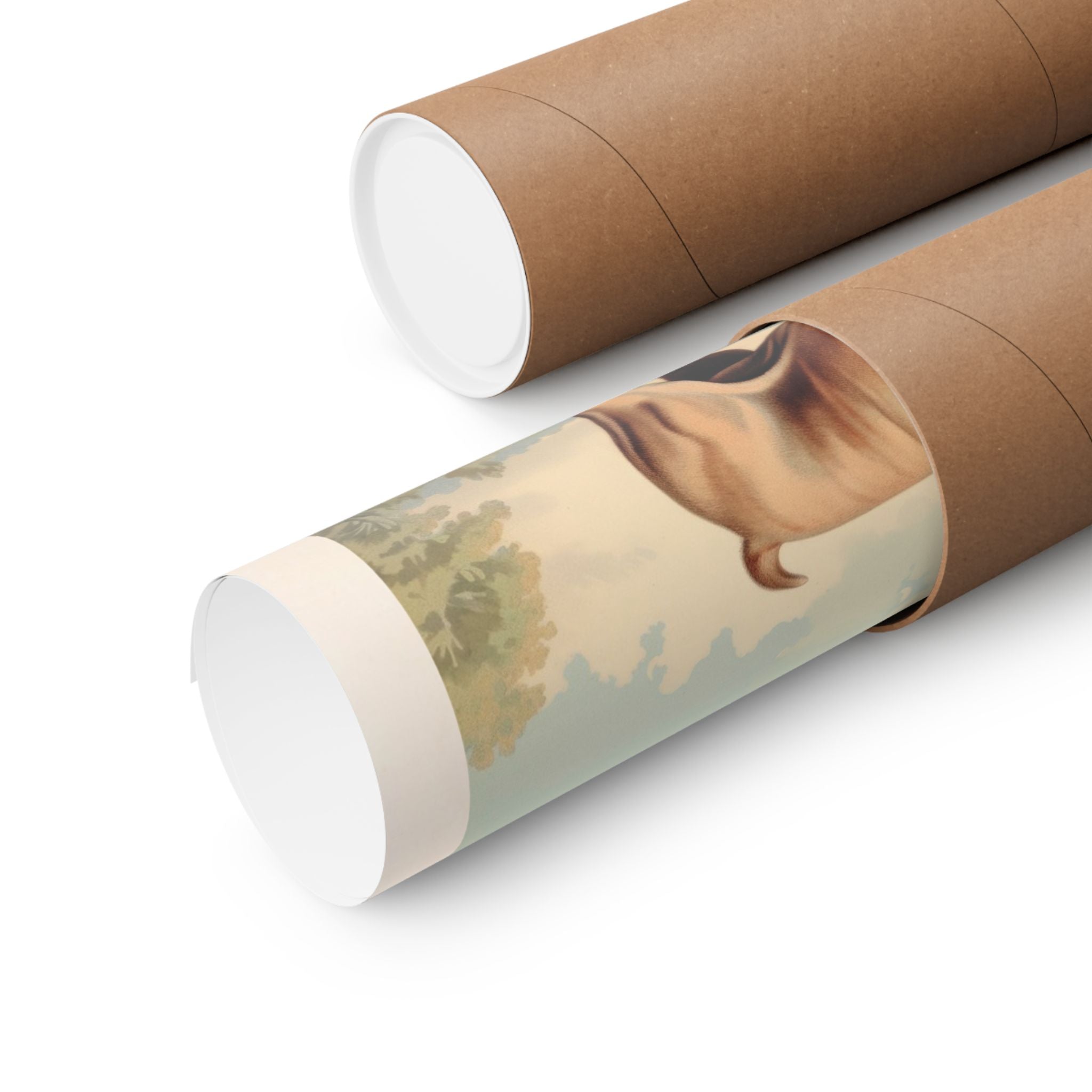 French Bulldog 2- CFA Edition