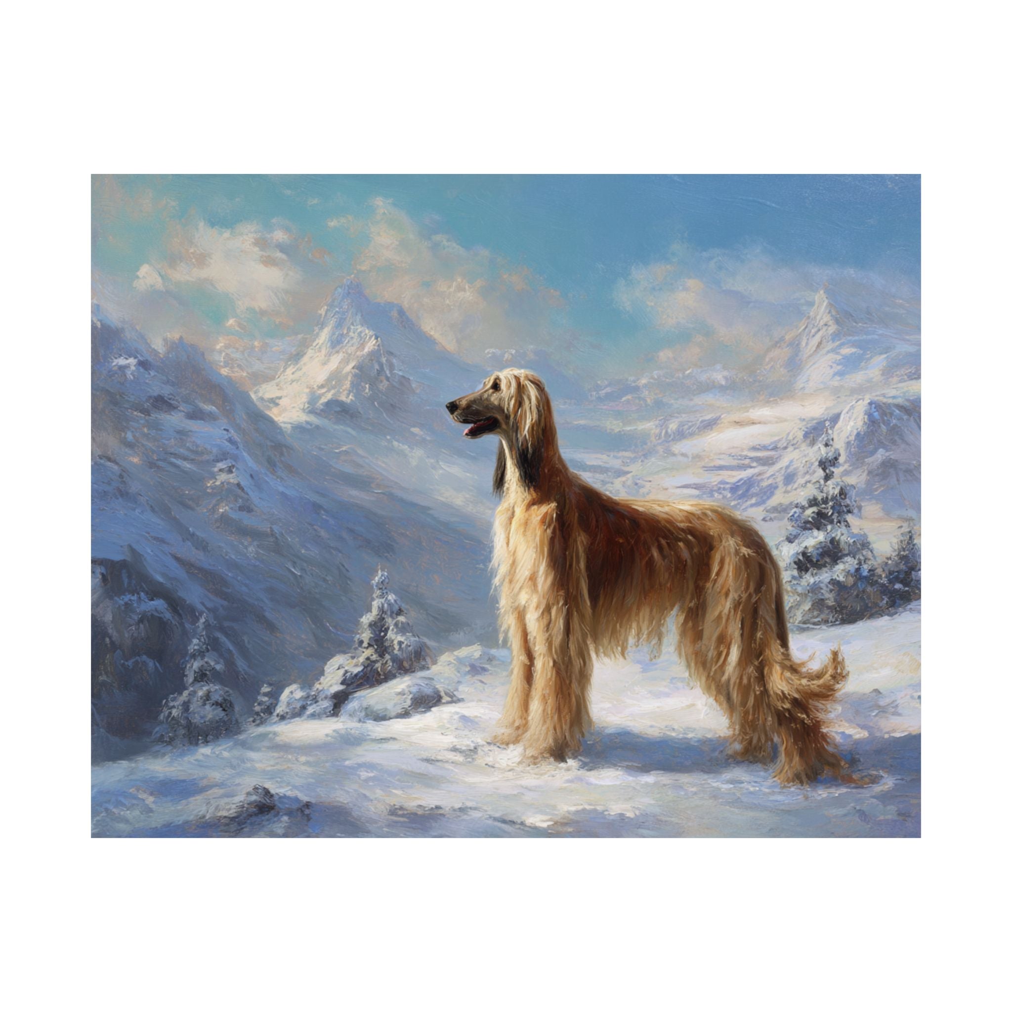 Afghan Hound 2- Winter Whiskers Collection