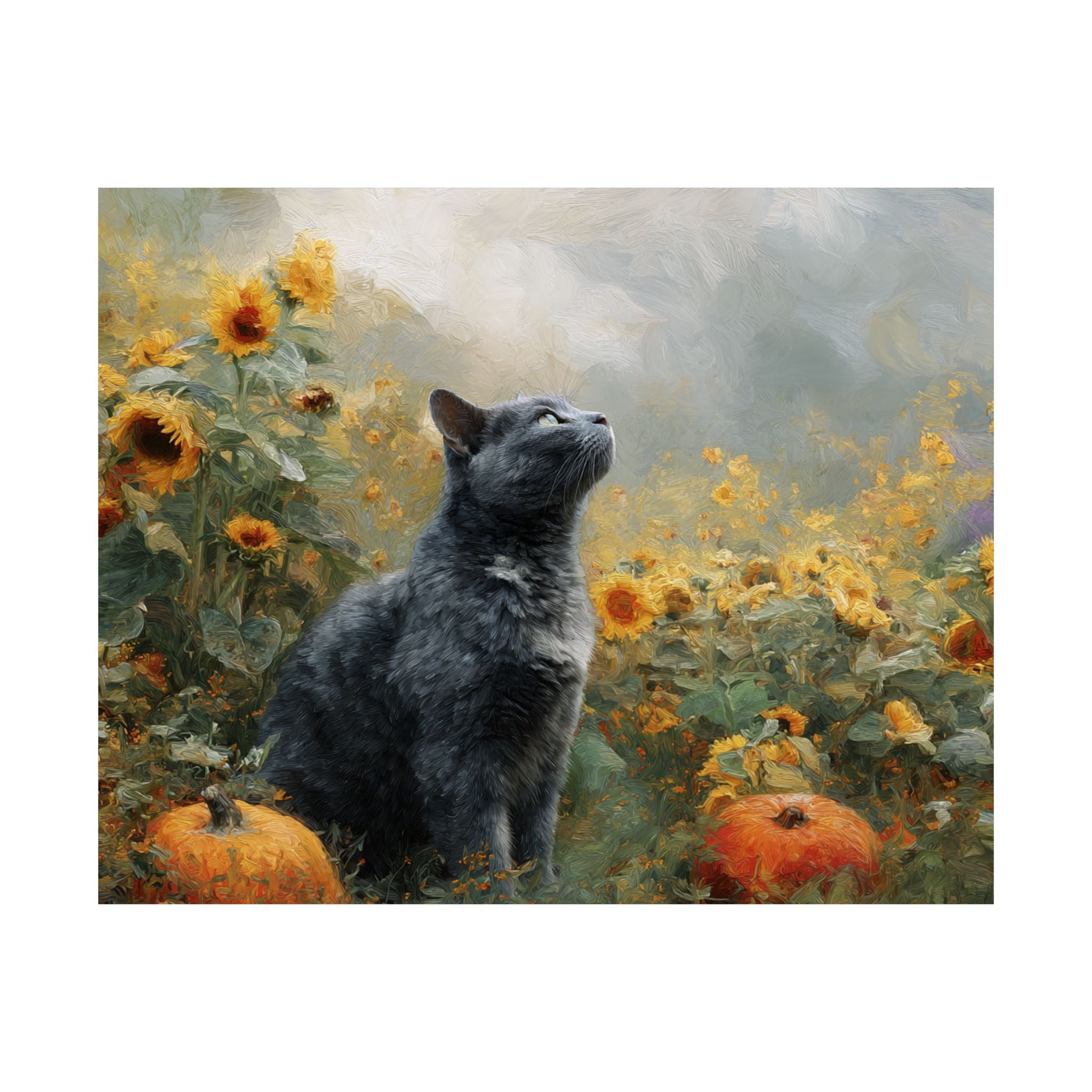 British Short Hair 2- Sunflower Season Collection