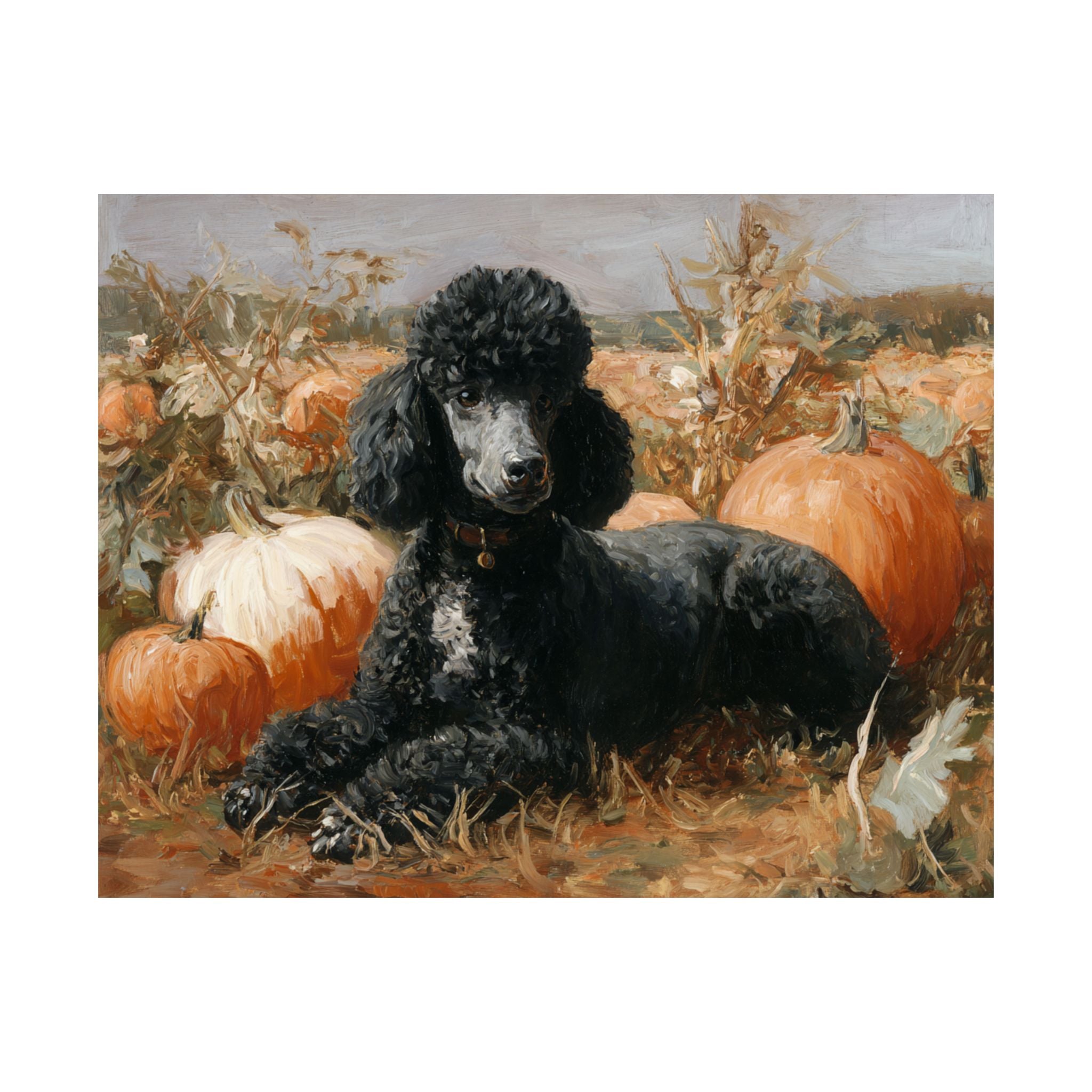 Poodle 4- Pumpkin Patch Collection