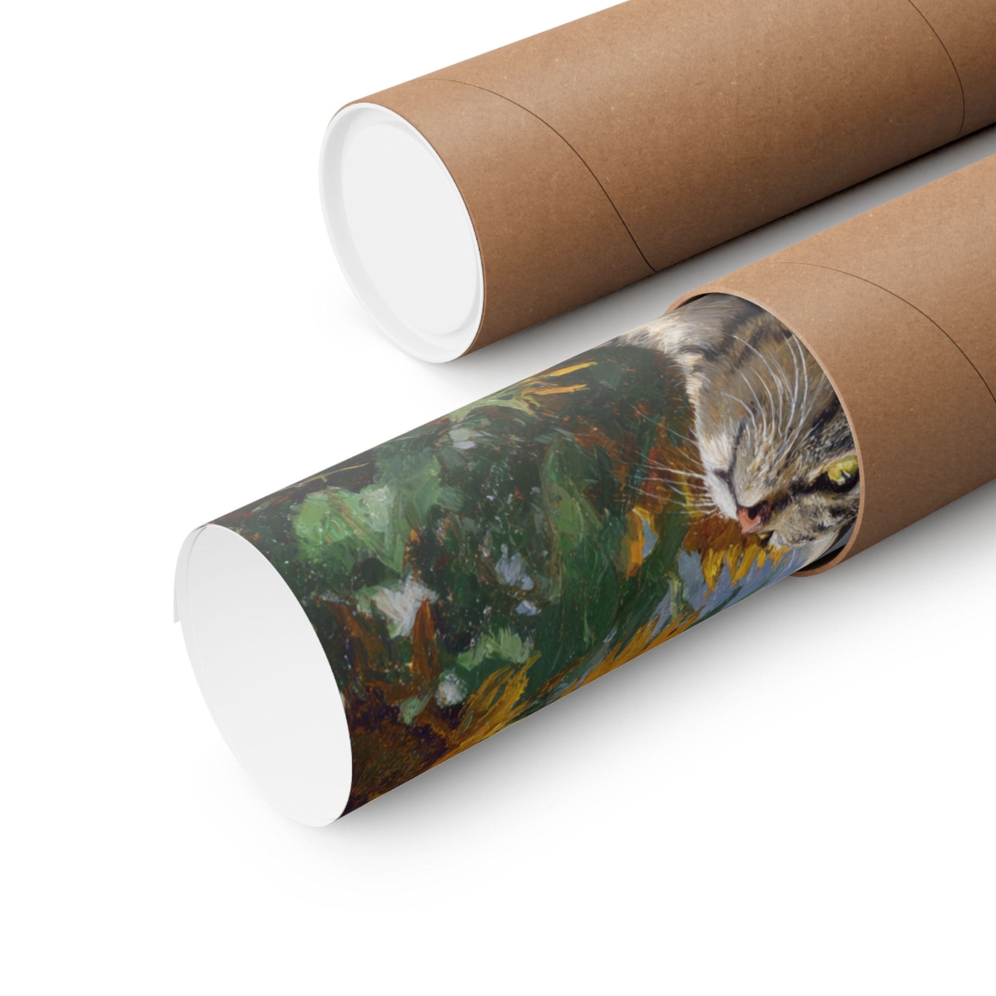 British Short Hair 1- Sunflower Season Collection