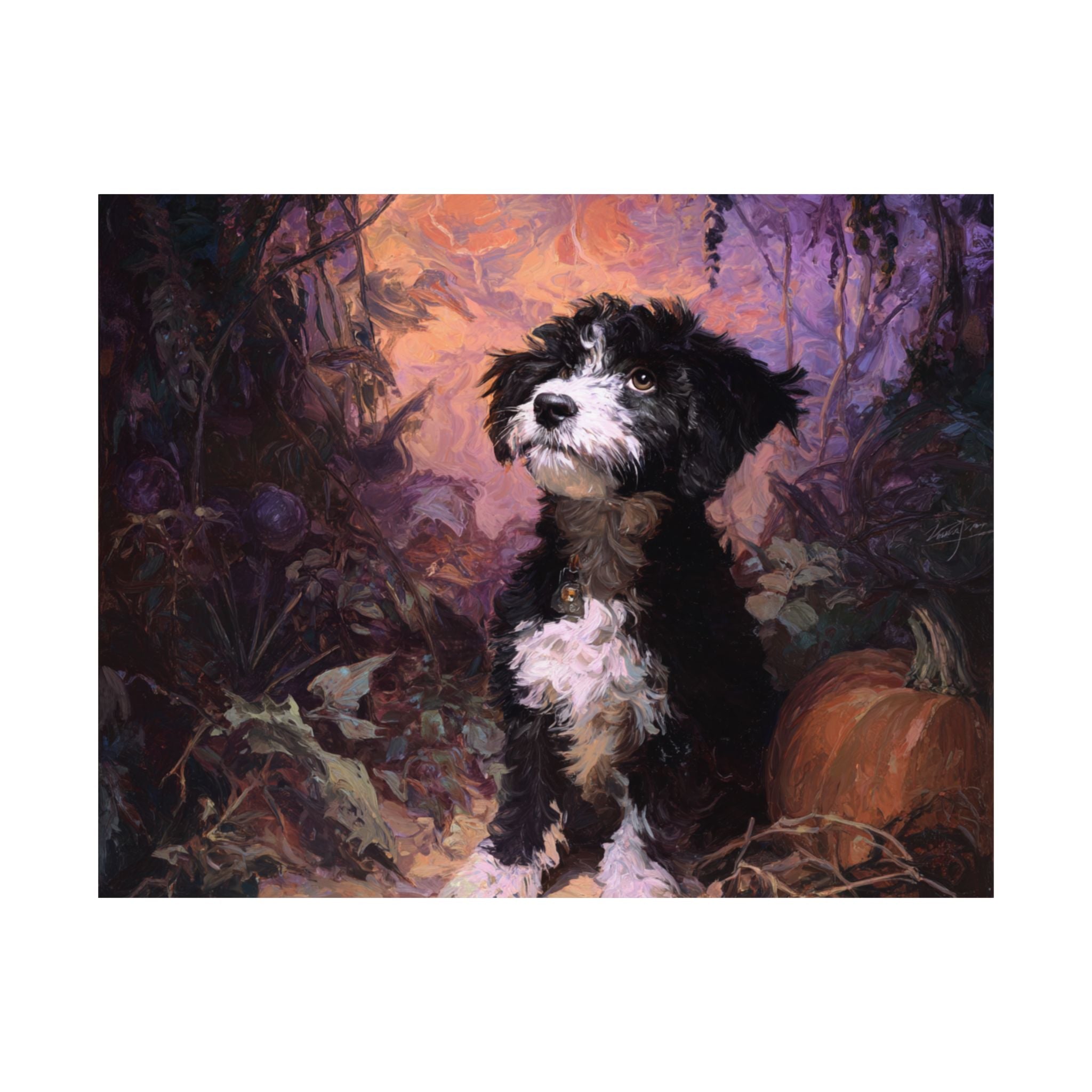 Aussiedoodle 5- Howl-oween Collection