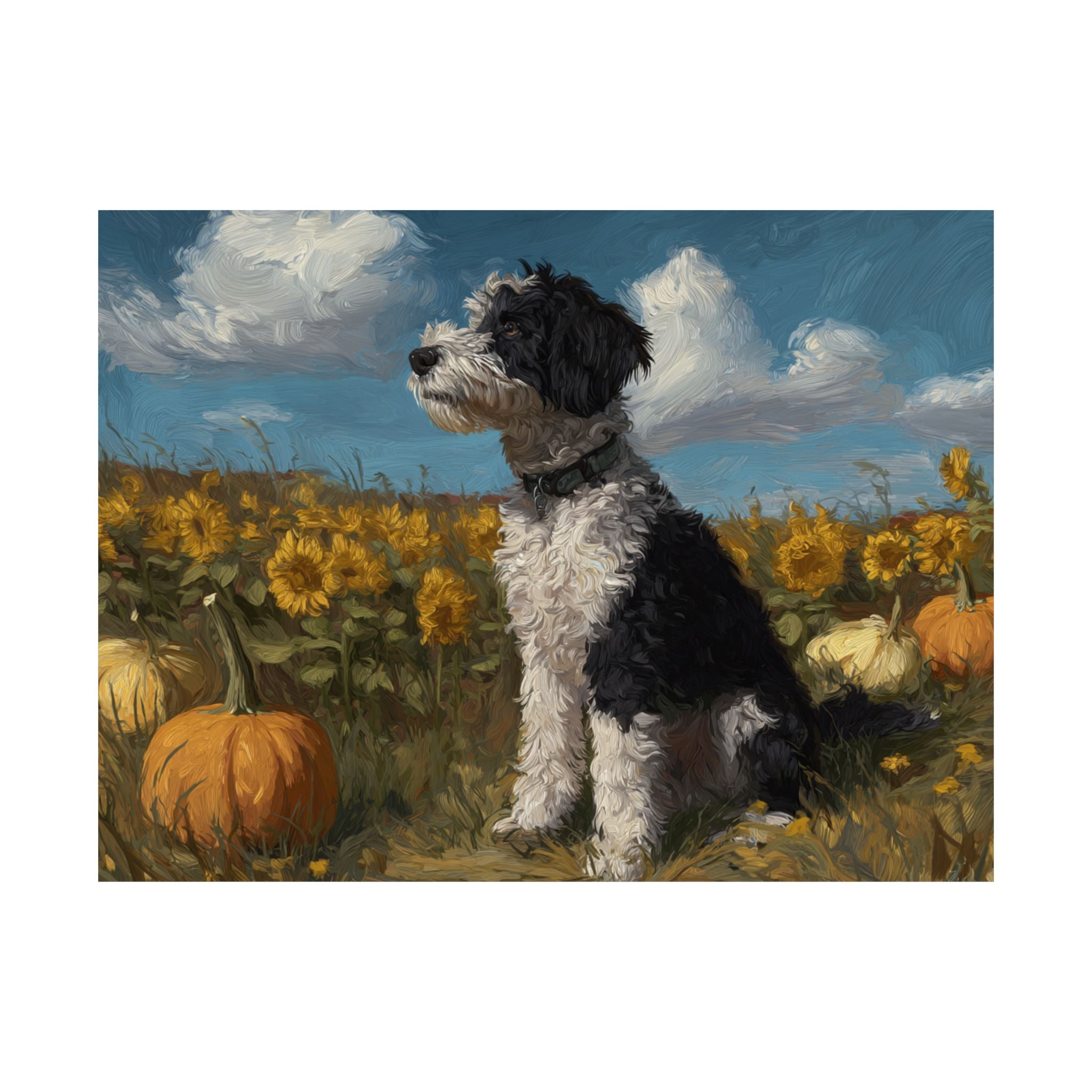 Aussiedoodle 4- Sunflower Season Collection