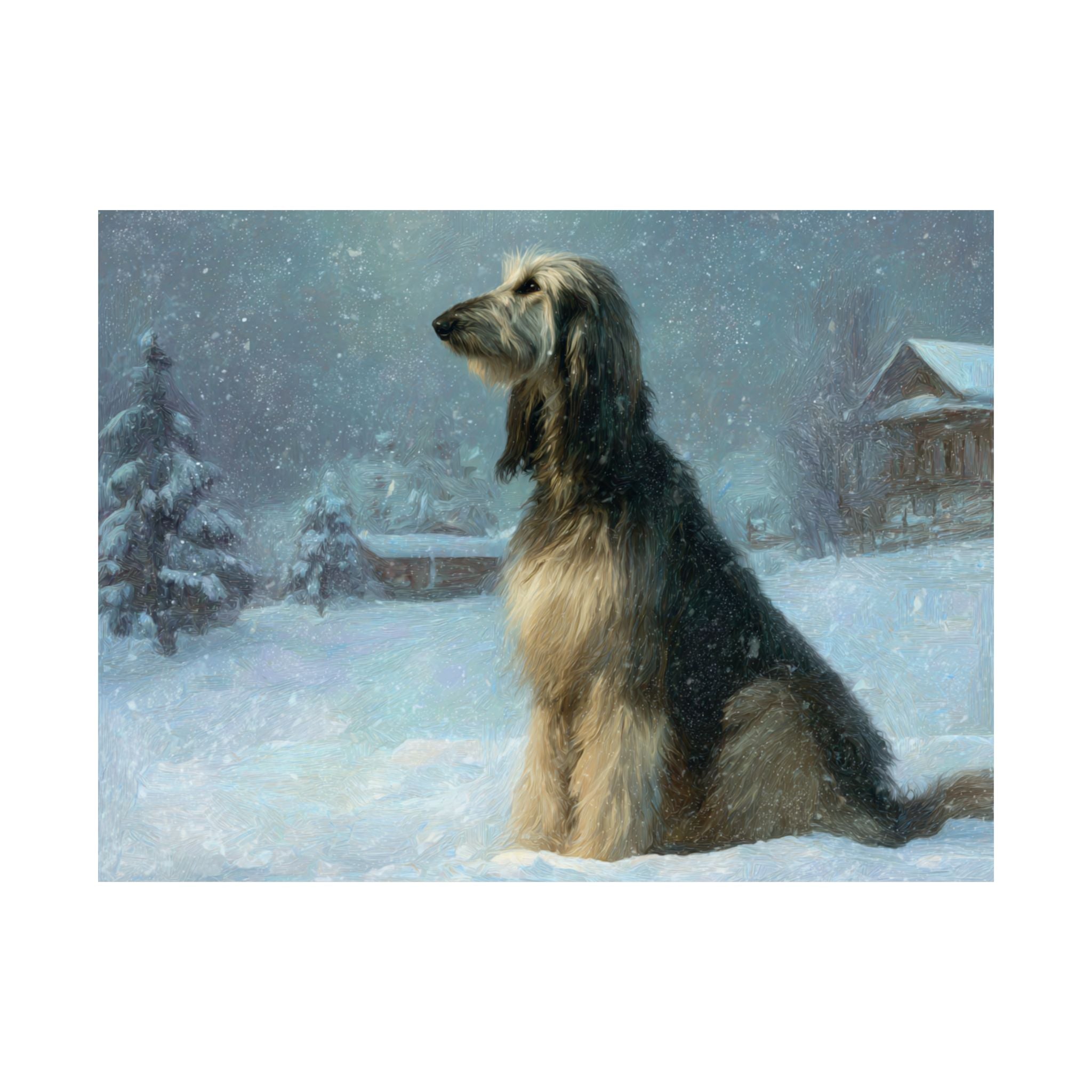 Afghan Hound 9- Winter Whiskers Collection