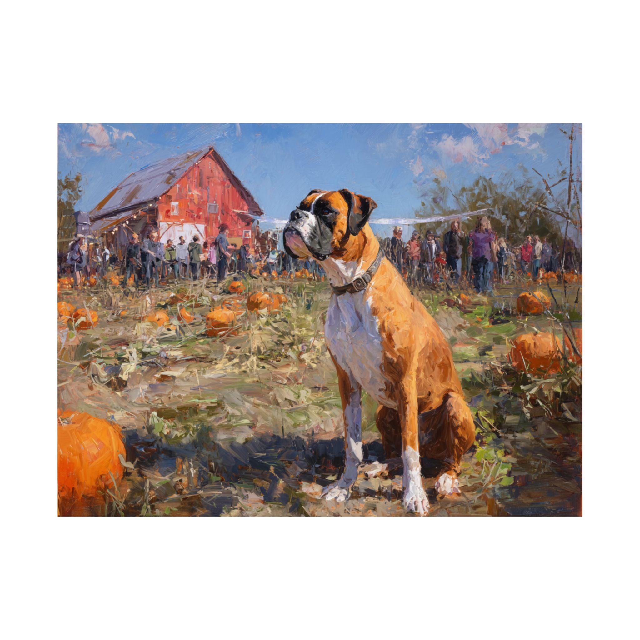 Boxer 1- Pumpkin Patch Collection