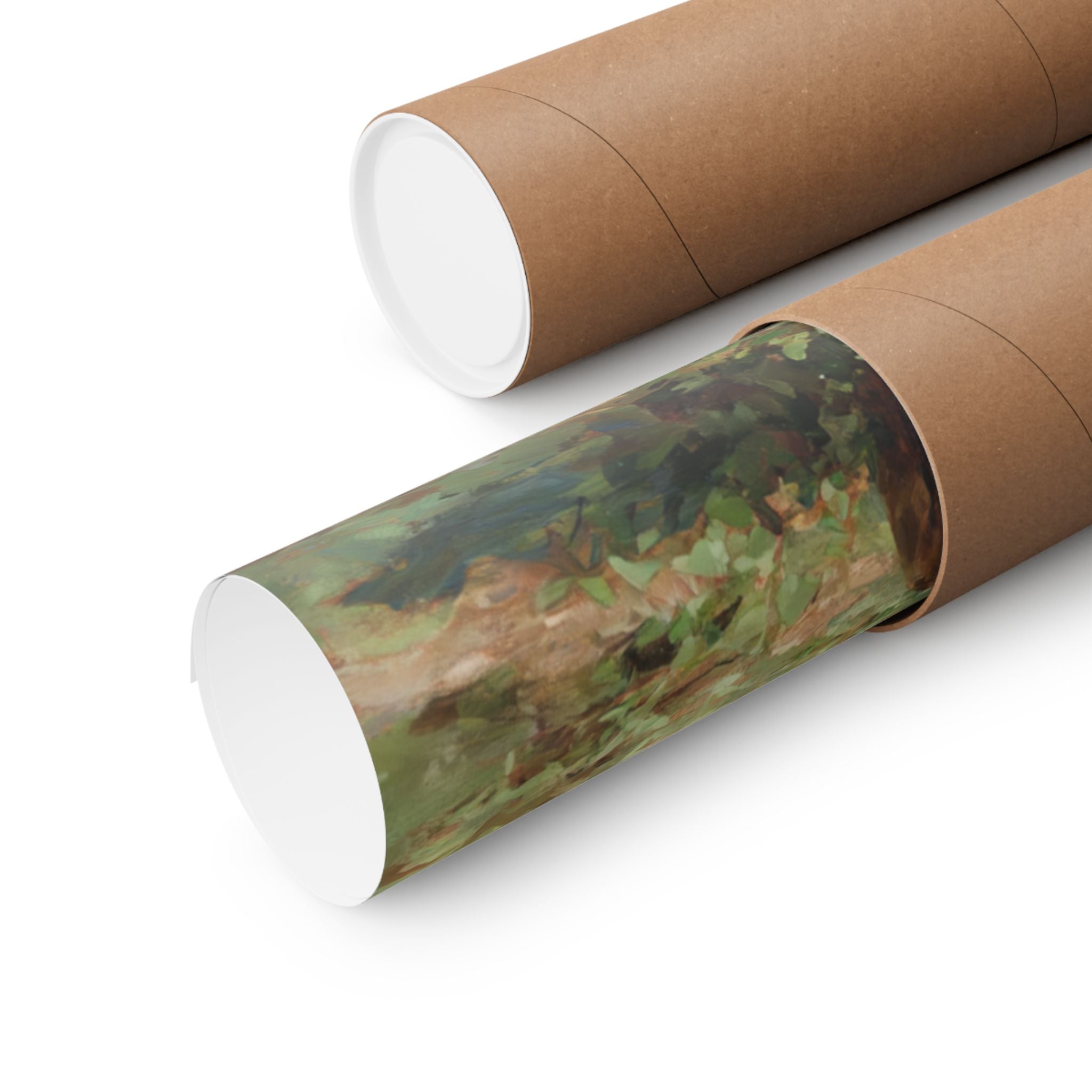 Boxer 5- Pumpkin Patch Collection