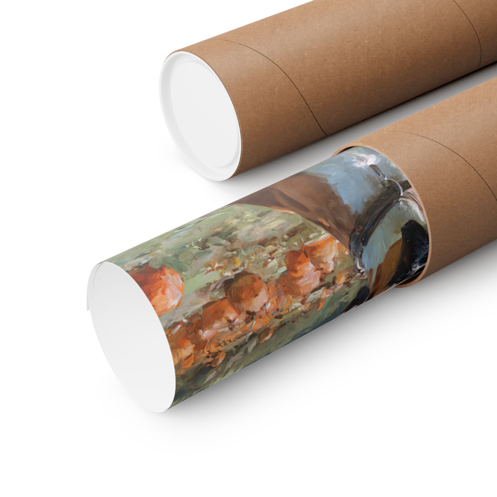 Boxer 3- Pumpkin Patch Collection