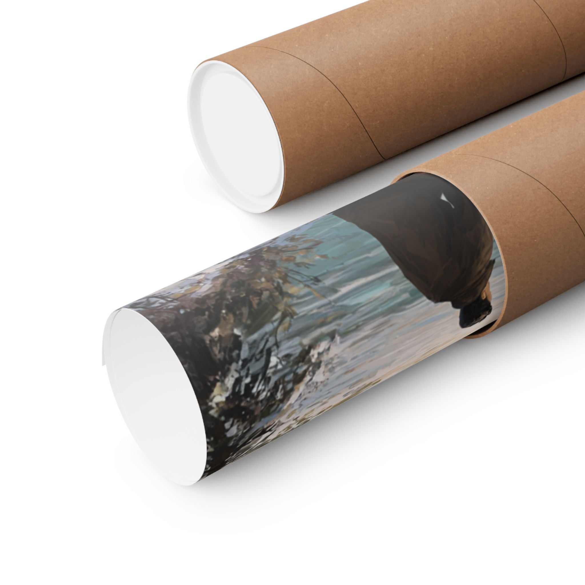 Boxer 2- Winter Whiskers Collection