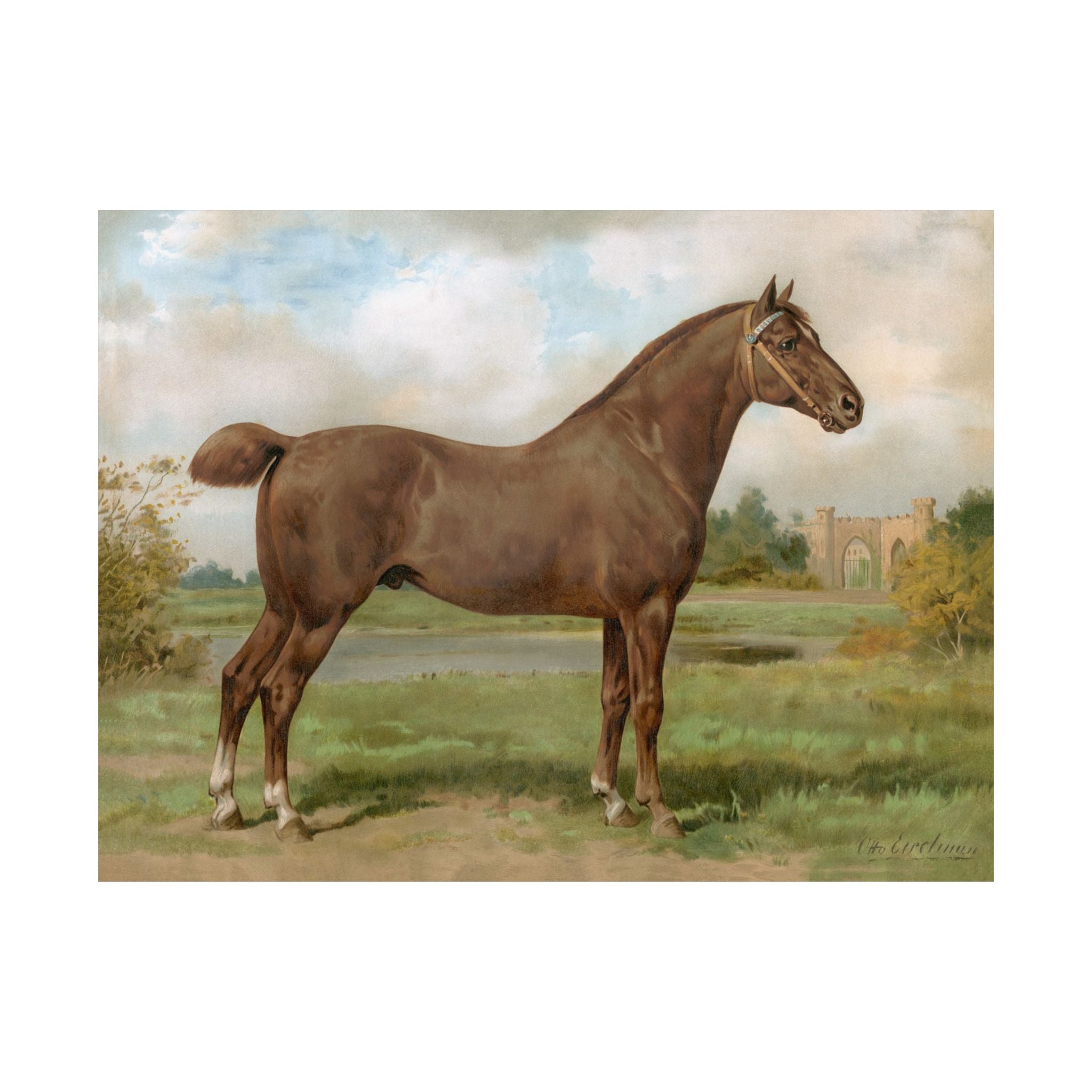 Hackney Horse- Eerelman Collection
