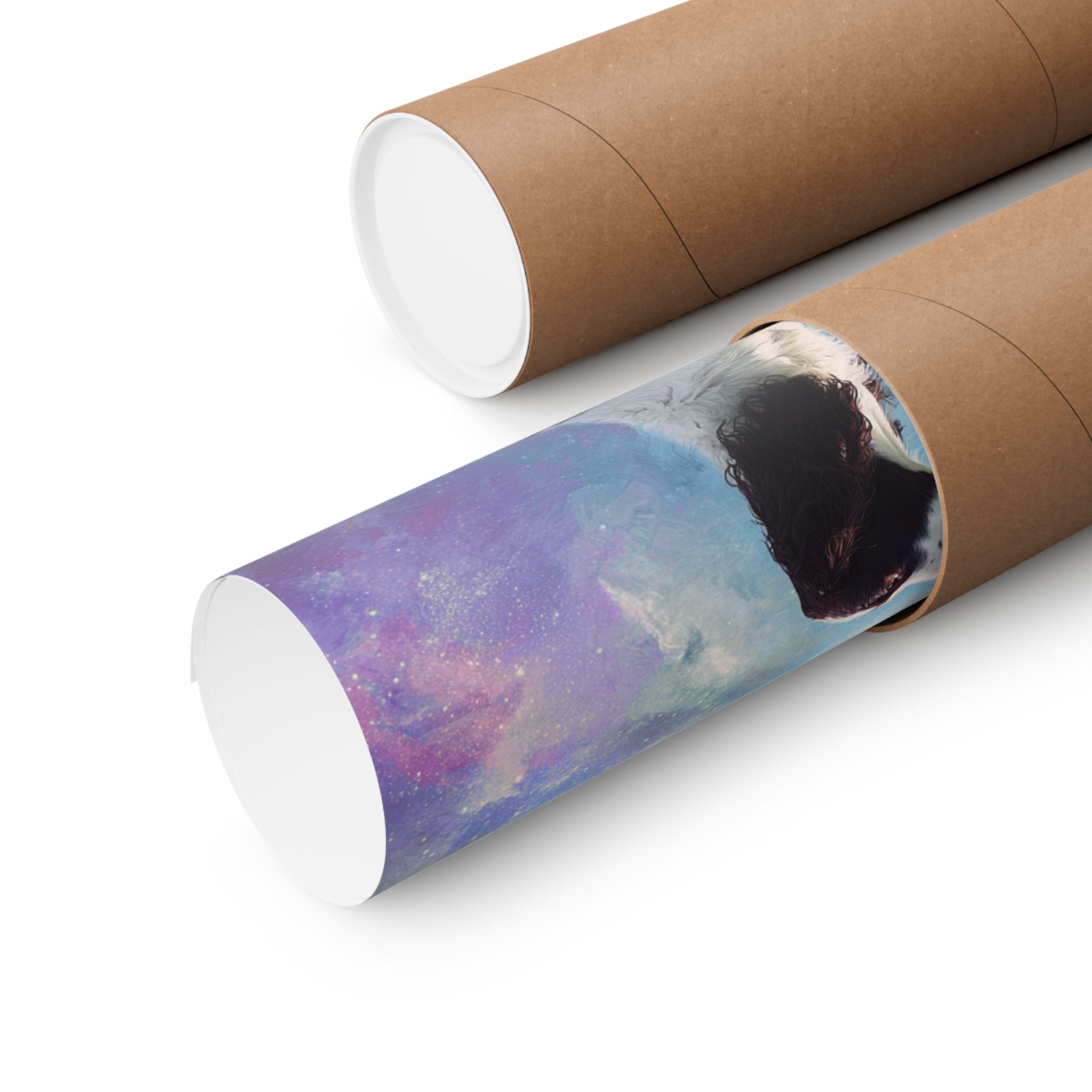 Springer Spaniel 1- Dreamy Companions Collection