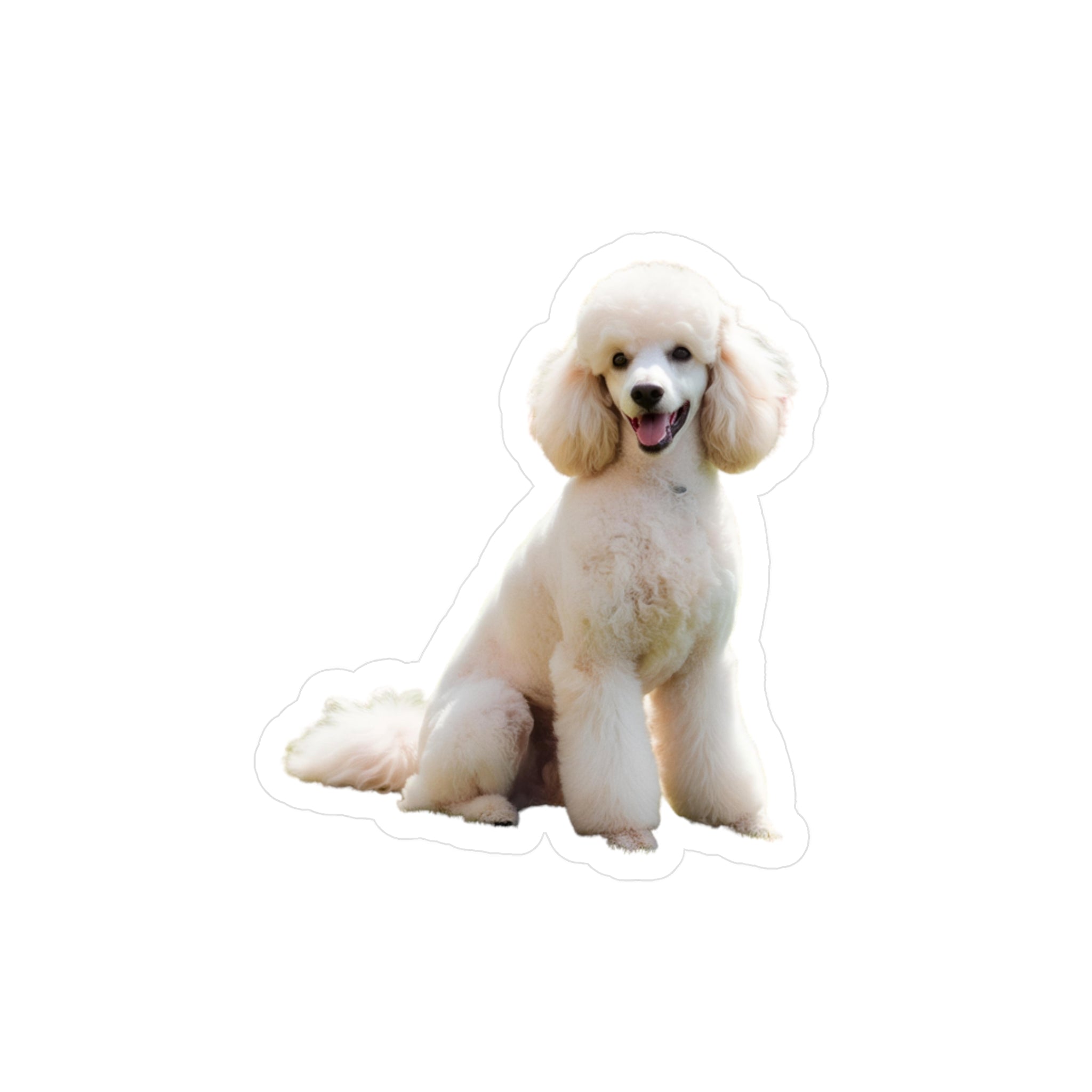 White Poodle Vinyl Decal