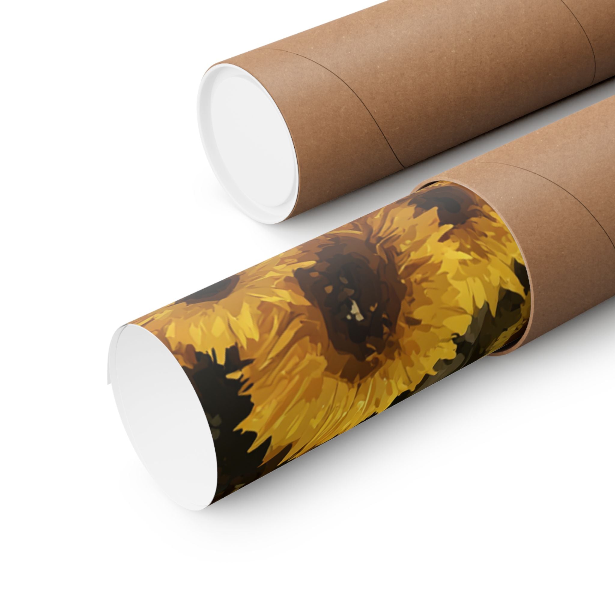 Ragdoll 3- Sunflower Season Collection
