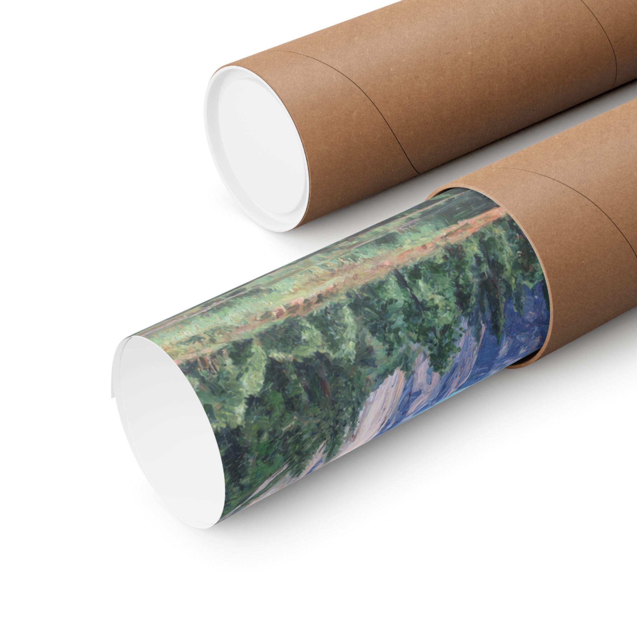 Beagle 2- Adventure Paws Collection