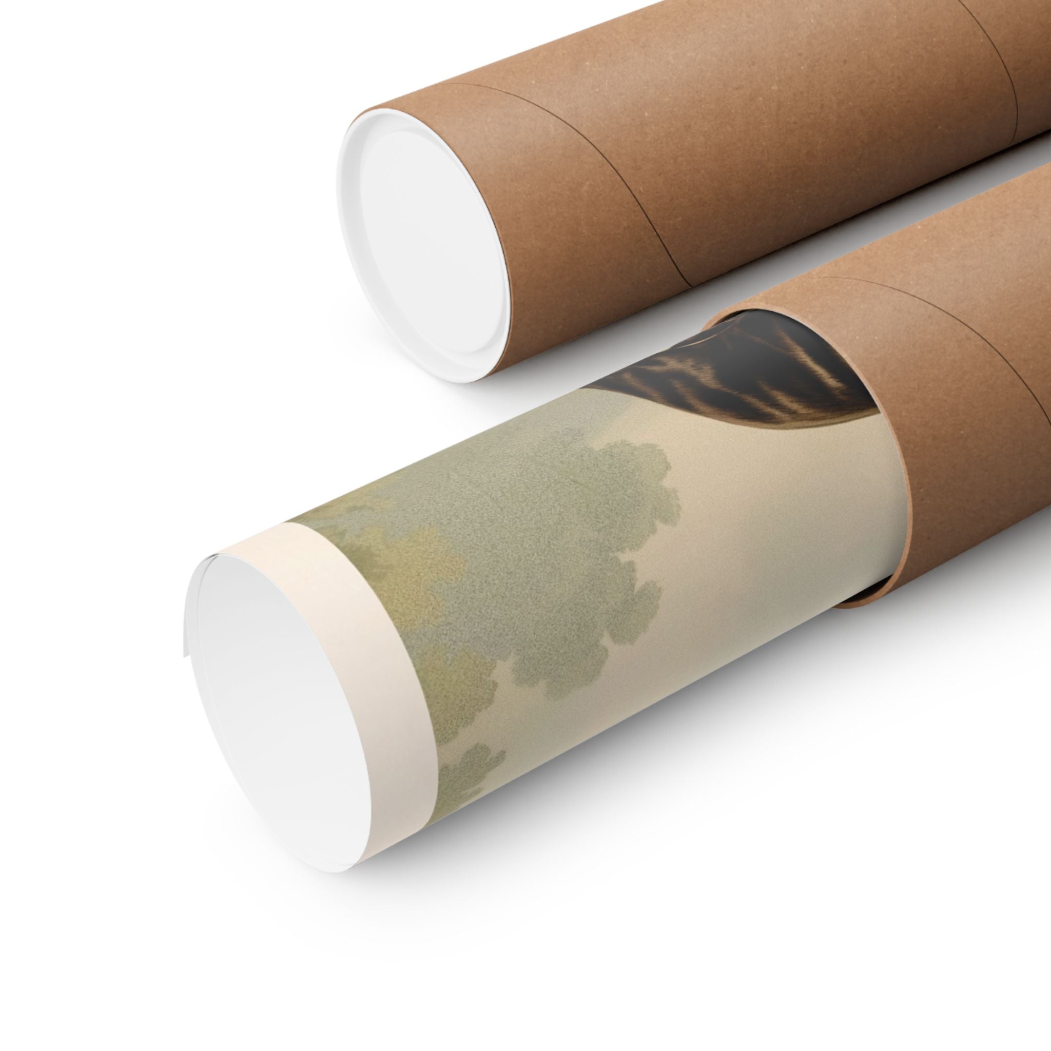 French Bulldog 5- CFA Edition