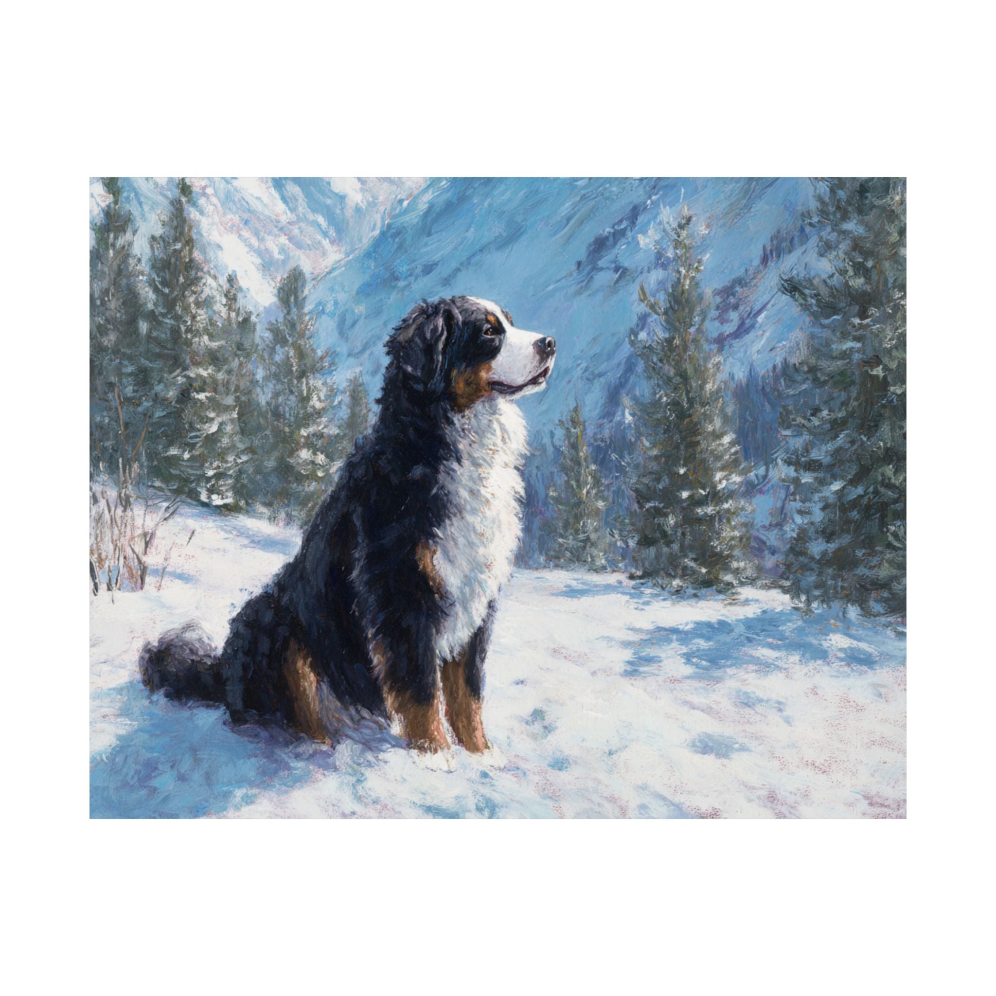 Bernese Mountain Dog 3- Adventure Paws Collection