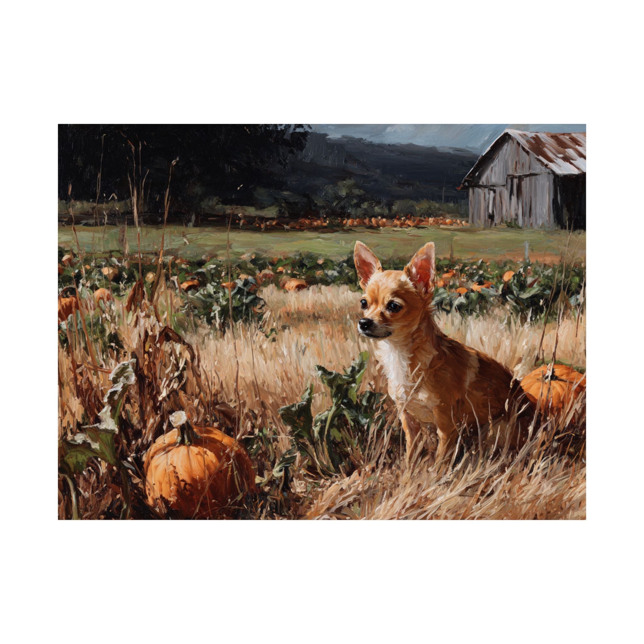Chihuahua 1- Pumpkin Patch Collection