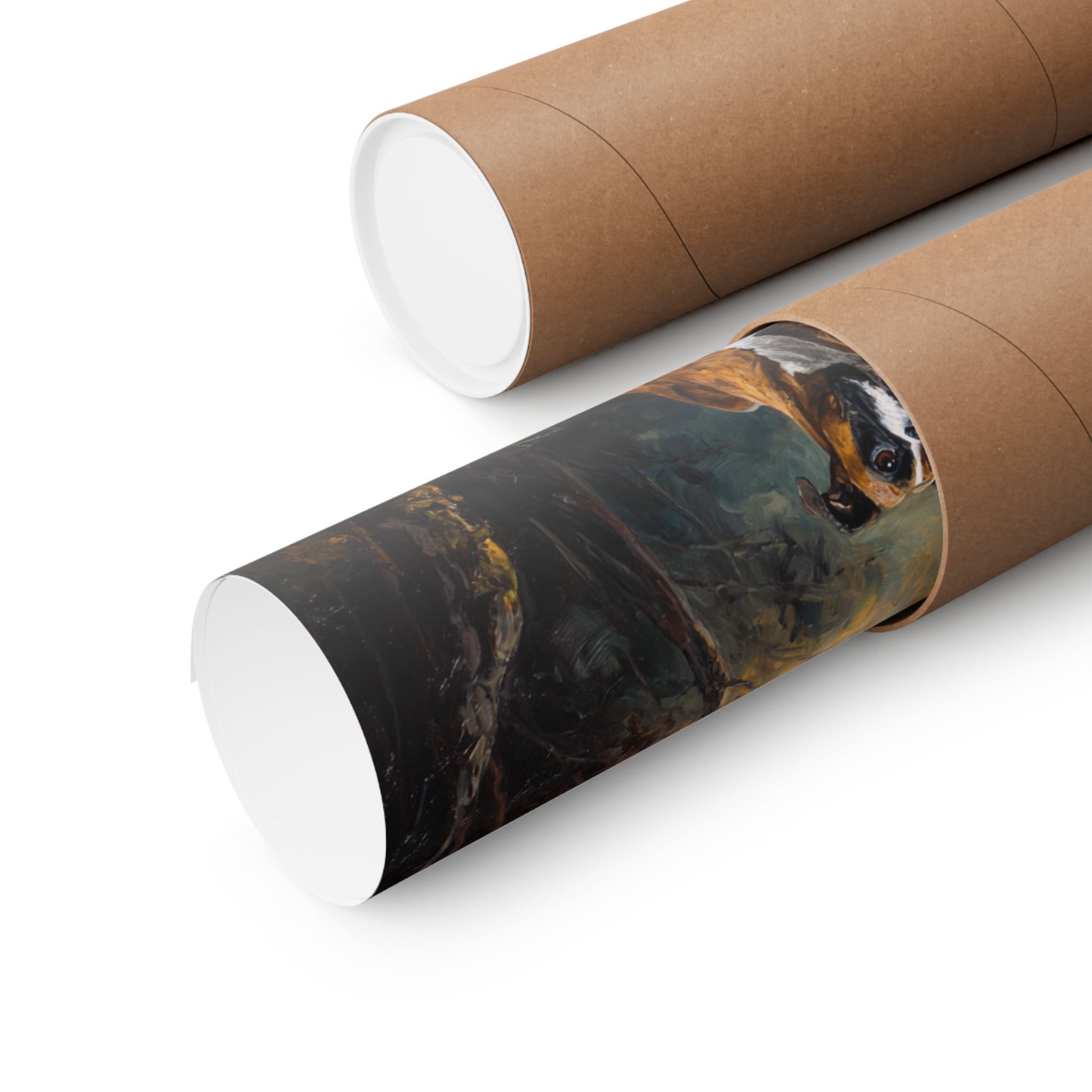 Boxer 1- Howl-oween Collection