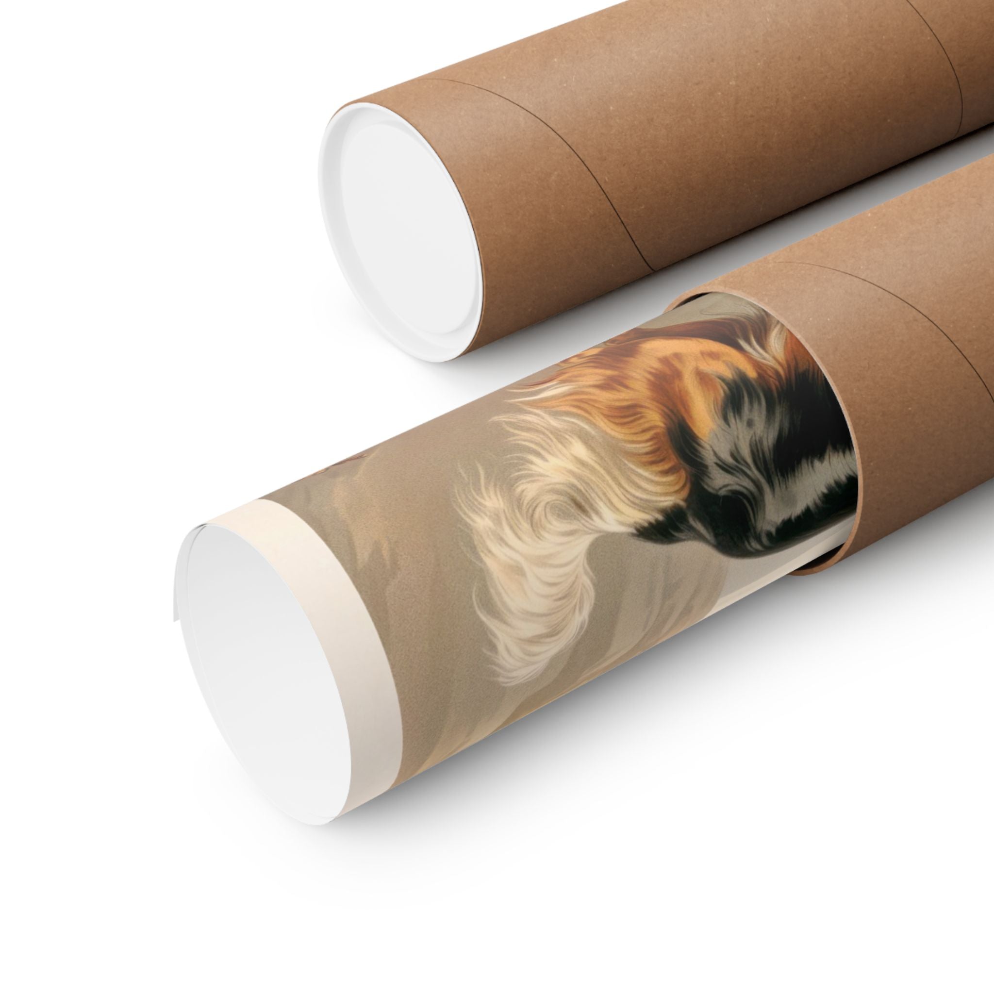 Cavalier King Charles Spaniel 1- CFA Edition