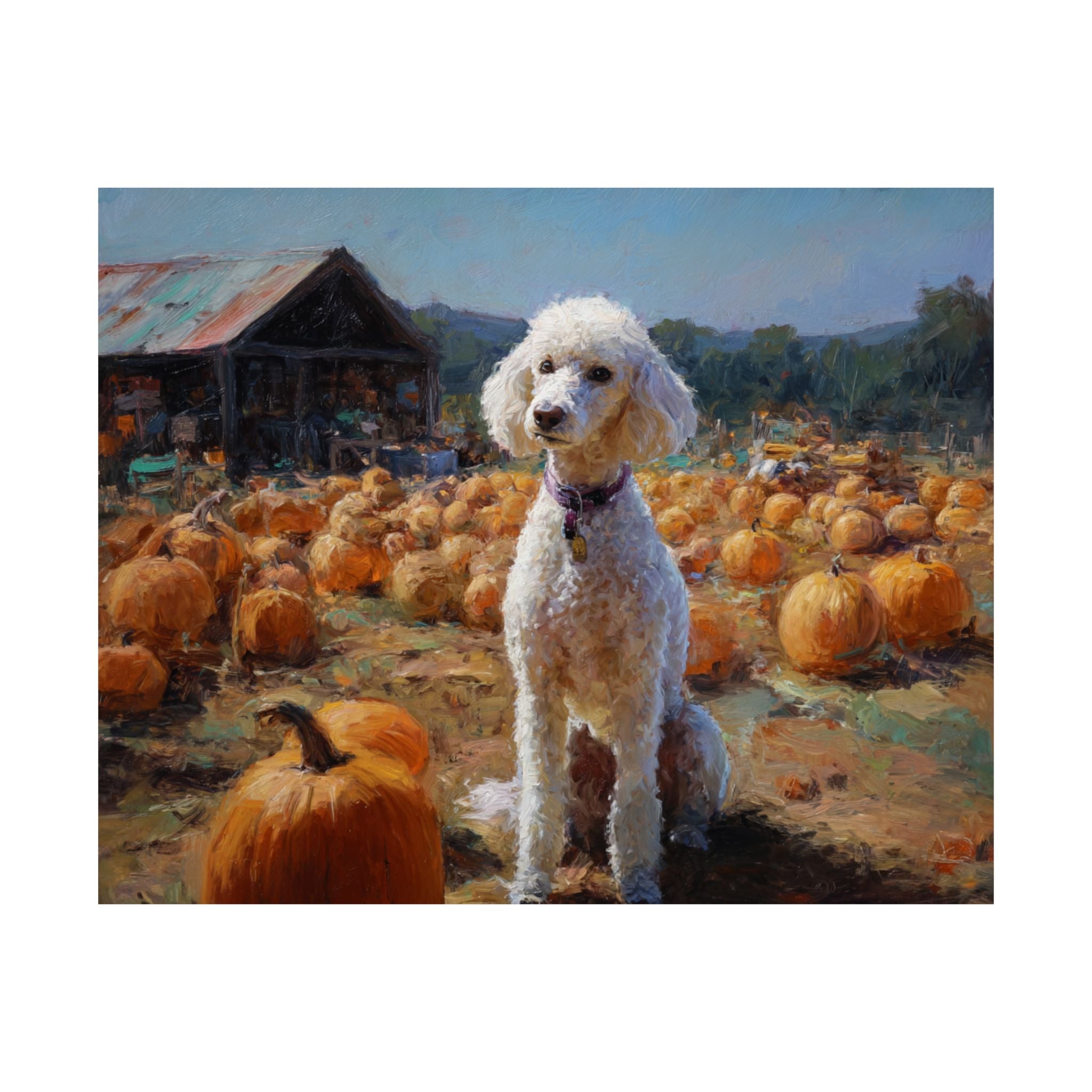 Poodle 5- Pumpkin Patch Collection