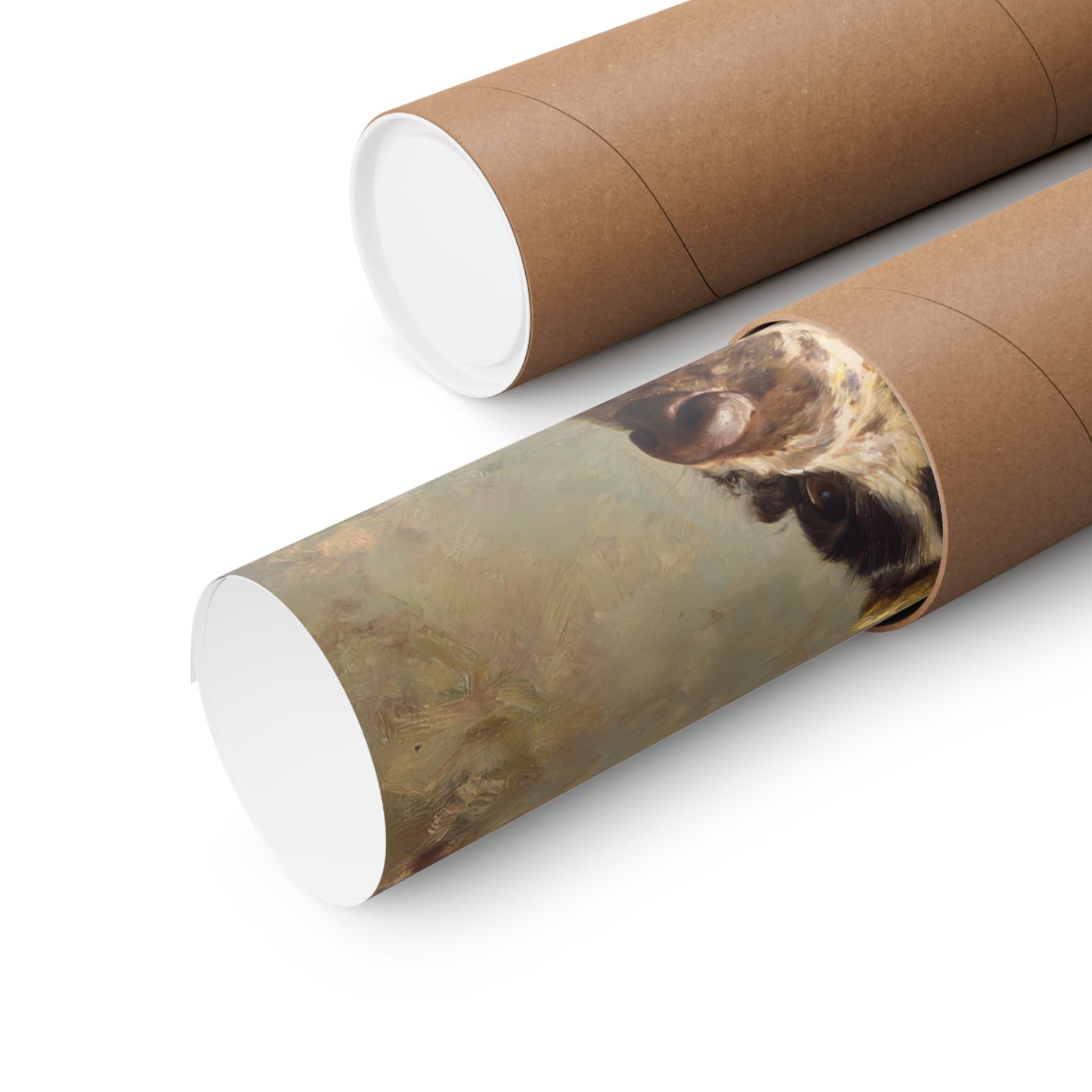 Cocker Spaniel 1- Pawty Animals Collection