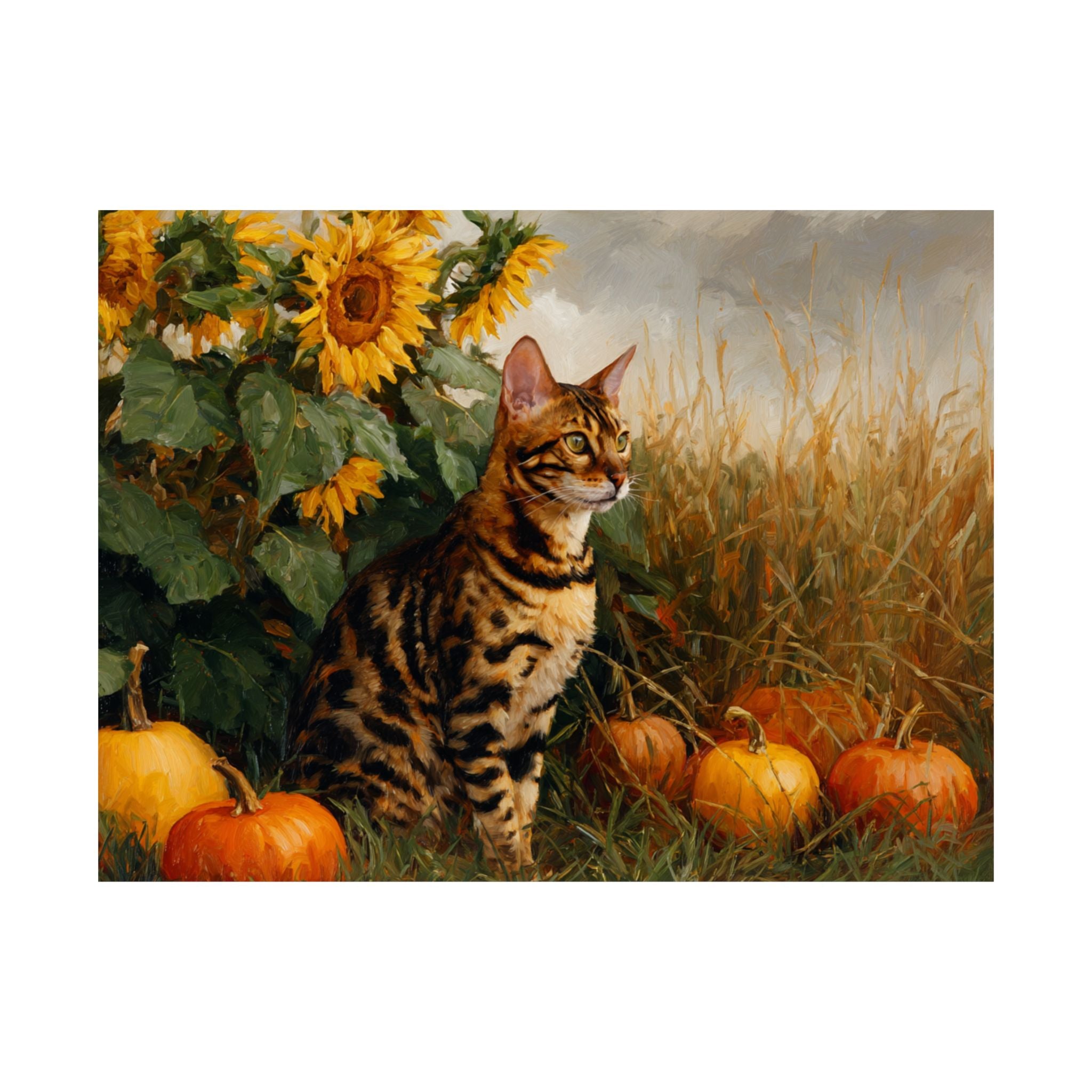 Bengal 3- Sunflower Season Collection
