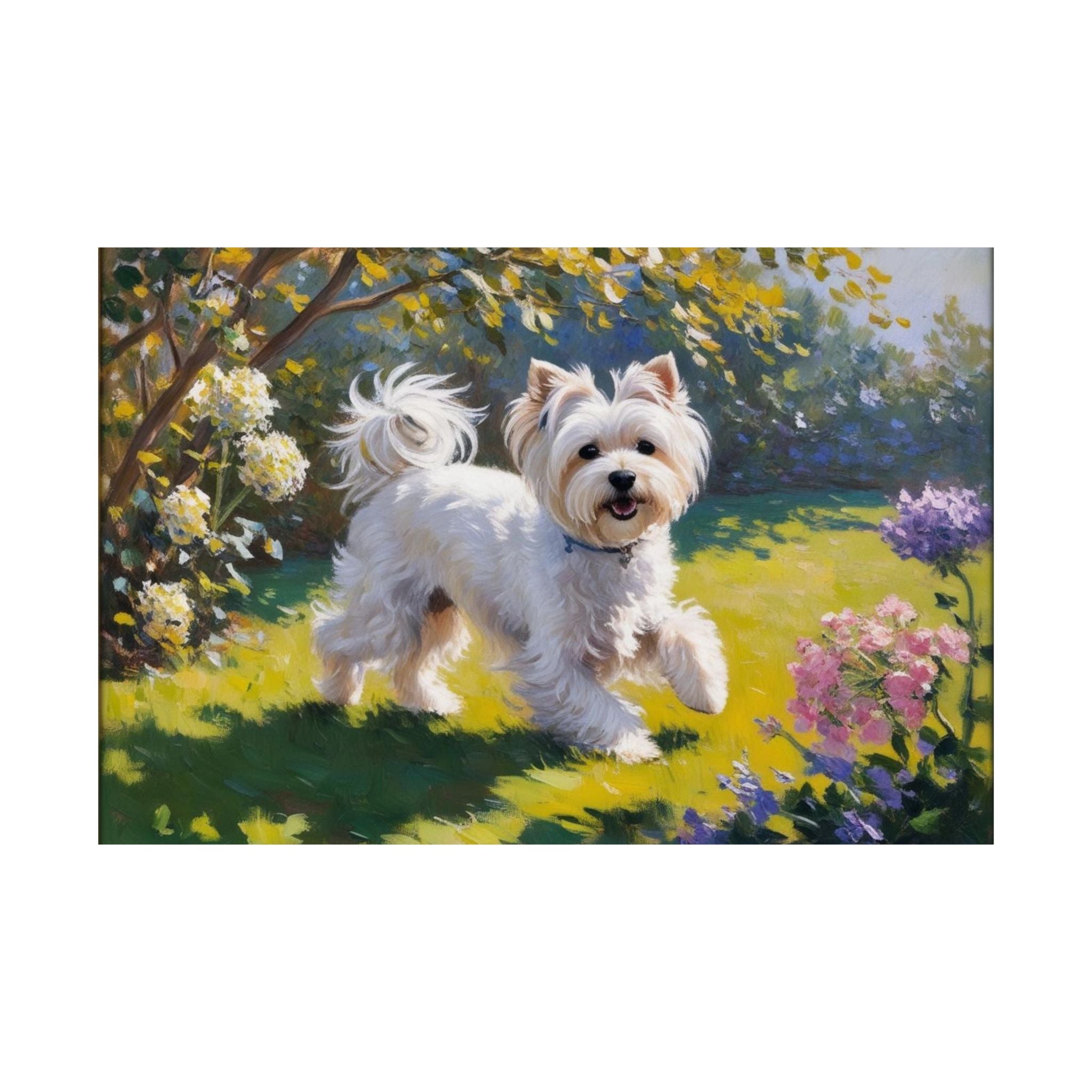 Maltese- Garden Collection