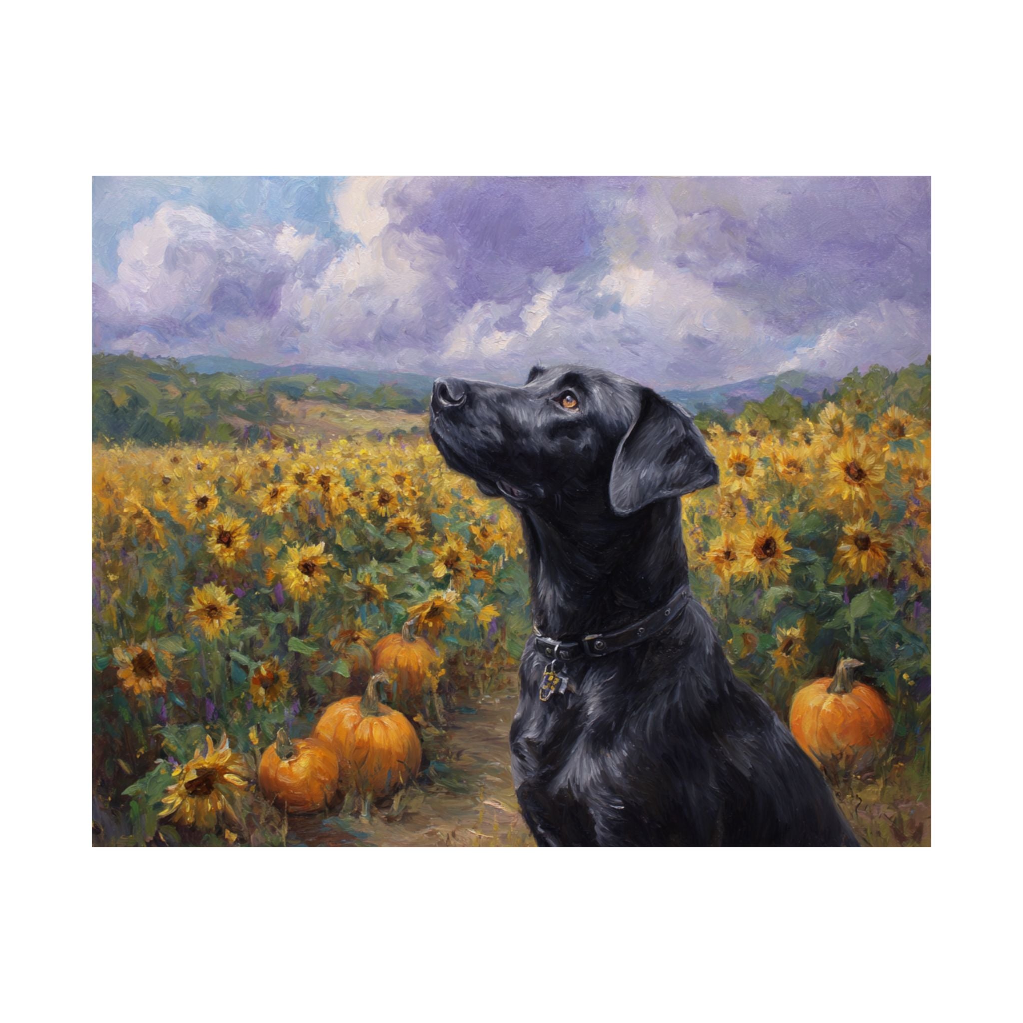 Labrador Retriever 2- Sunflower Season Collection