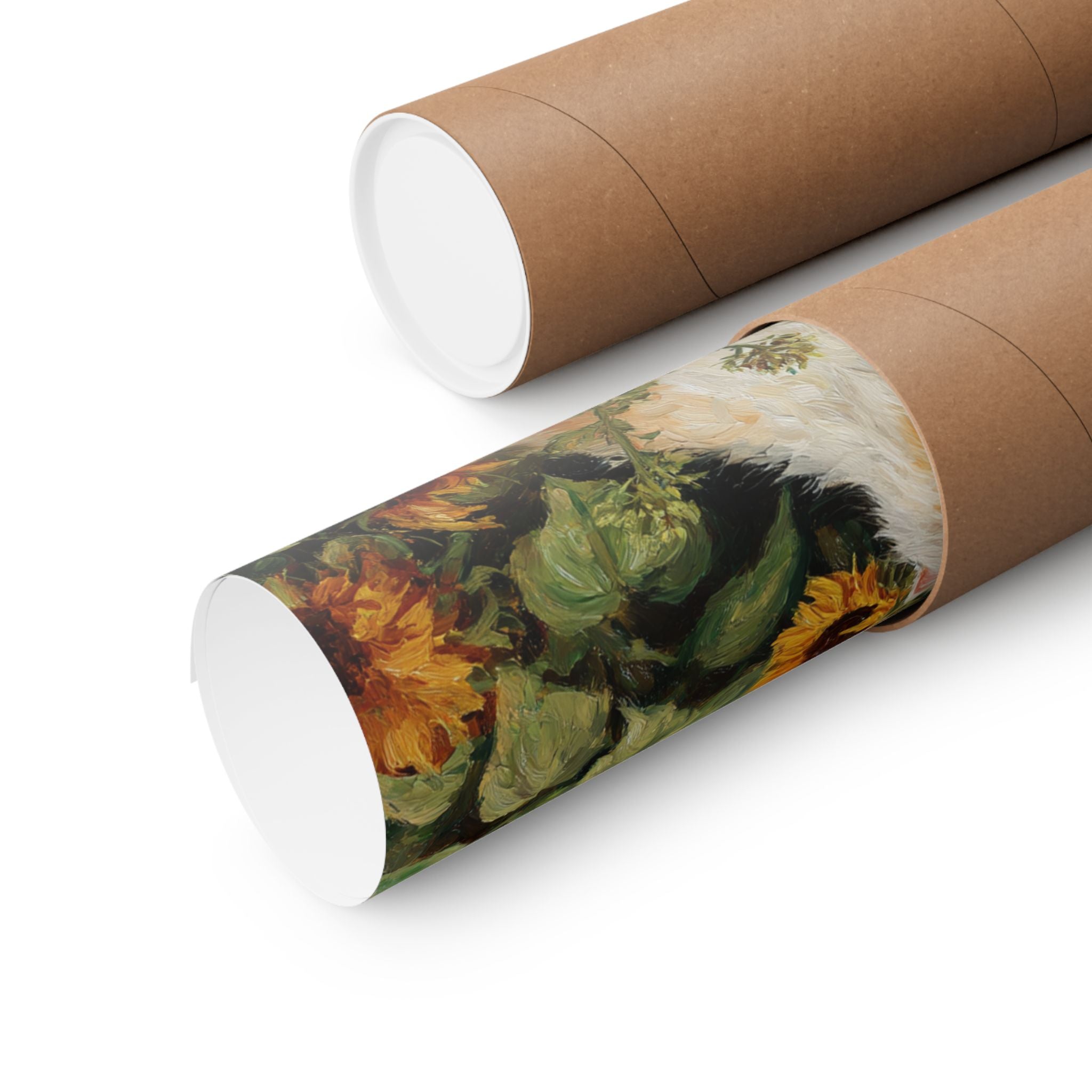 Persian 2- Sunflower Season Collection