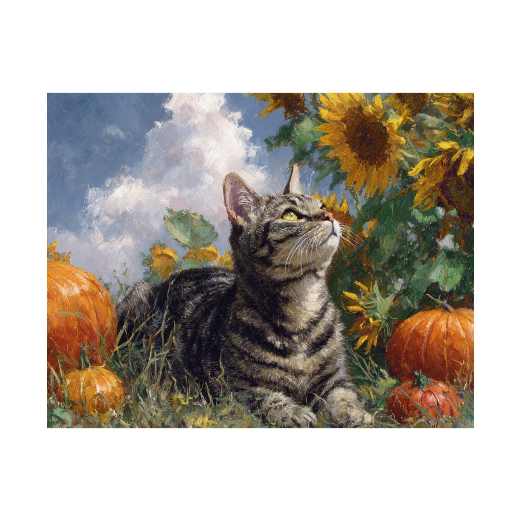 British Short Hair 1- Sunflower Season Collection