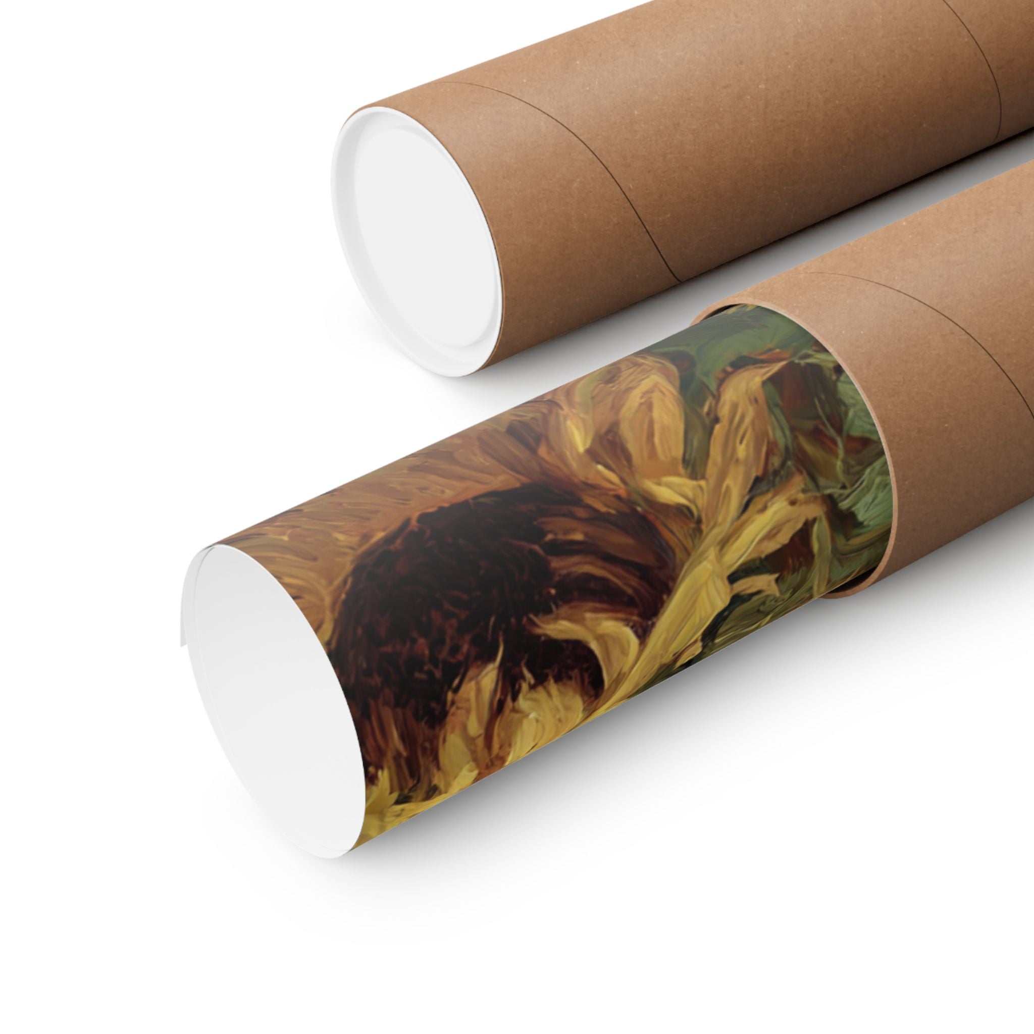 Persian 5- Sunflower Season Collection
