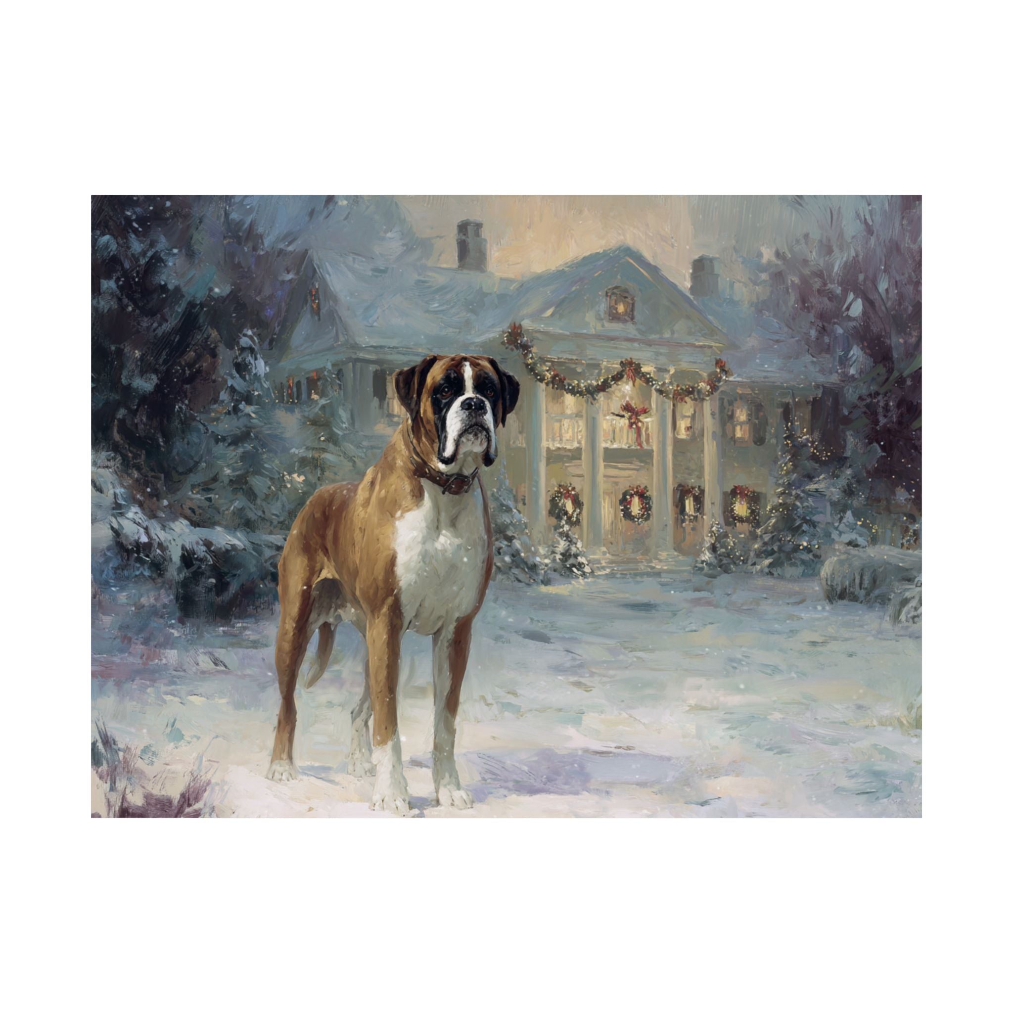 Boxer 2- Home for the Holidays Collection