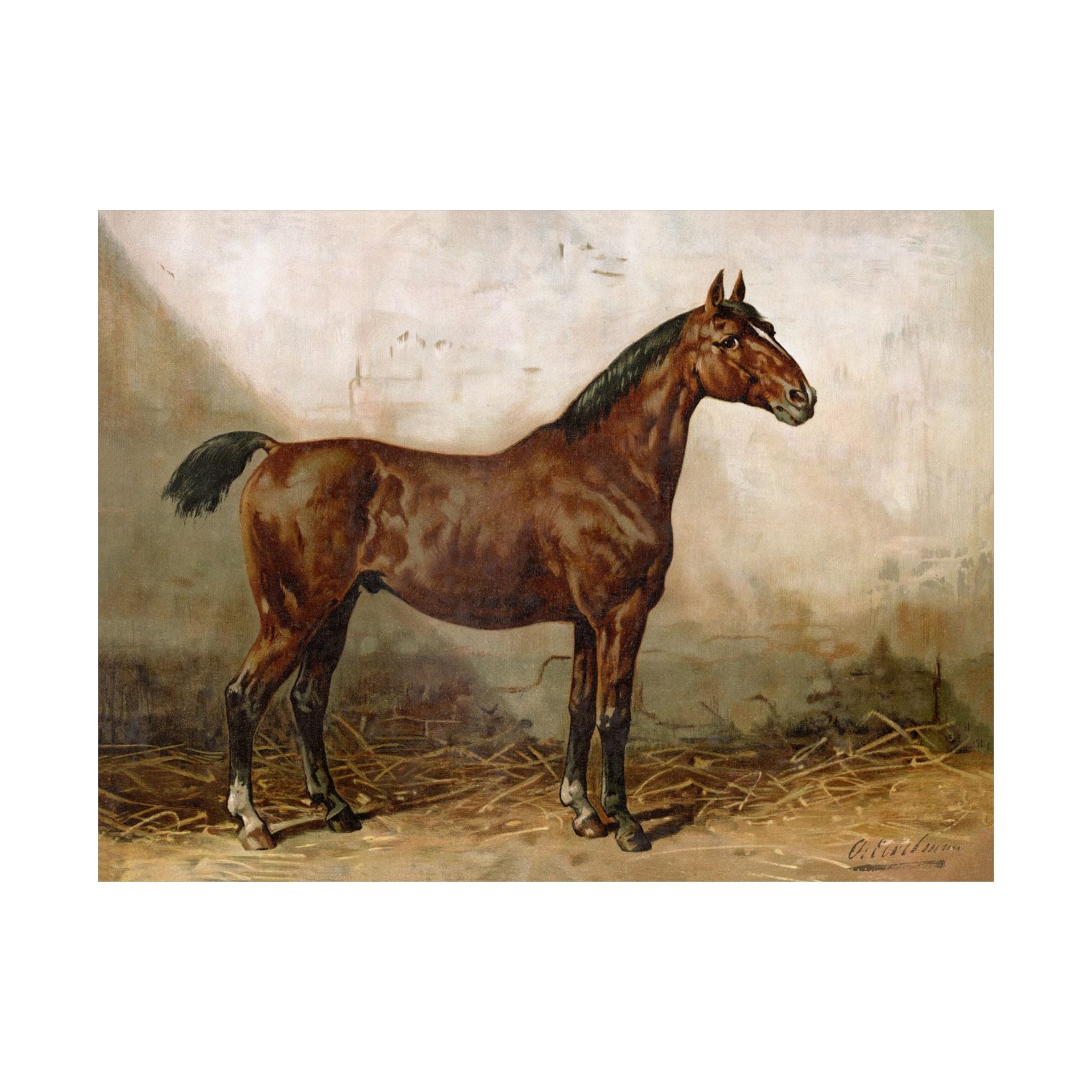 Holsteiner Horse- Eerelman Collection