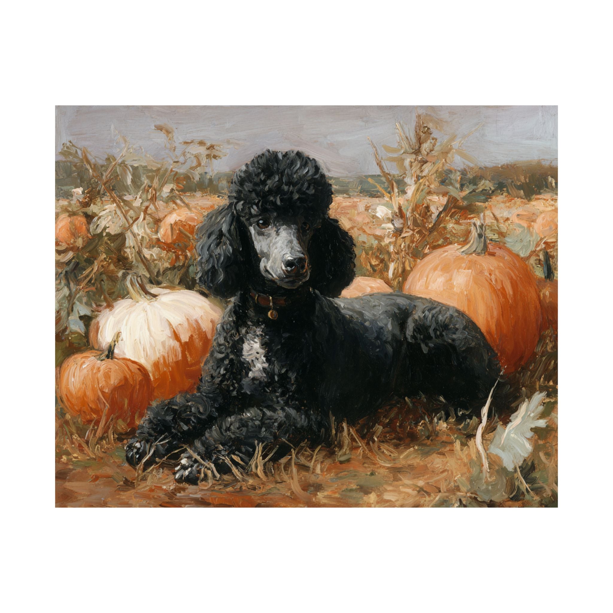 Poodle 4- Pumpkin Patch Collection