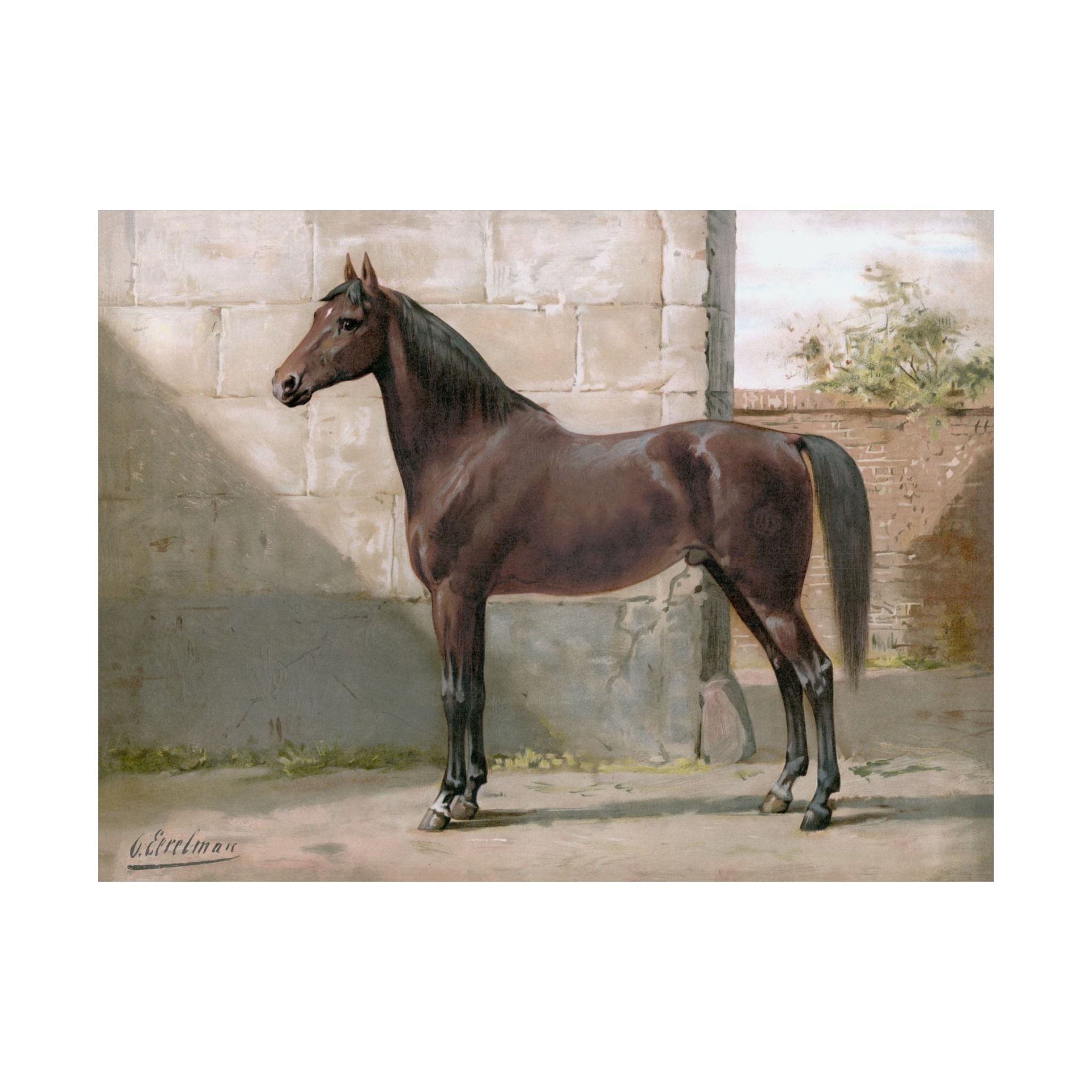 East Prussian Horse- Eerelman Collection