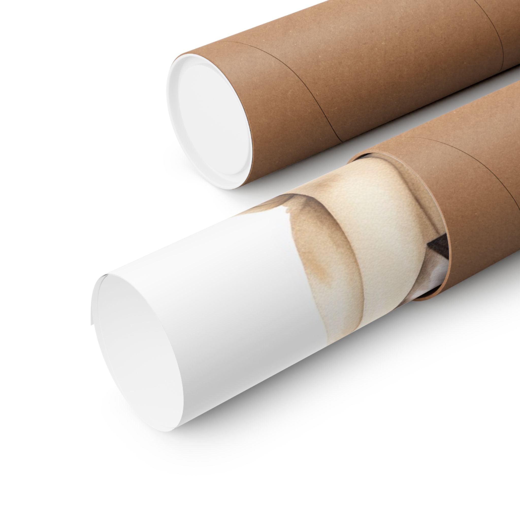 Pug 4- Bow Collection