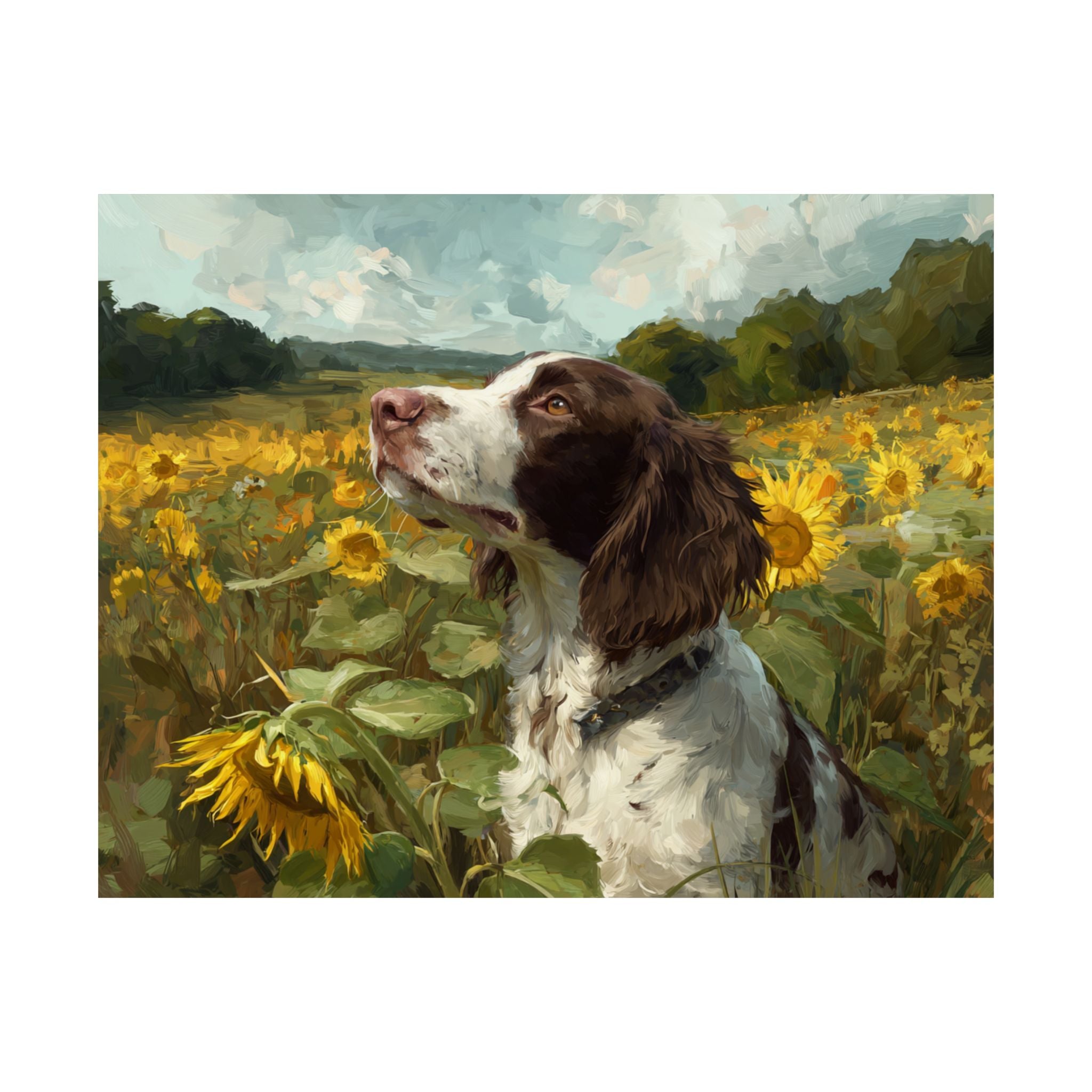 Springer Spaniel 7- Sunflower Season Collection