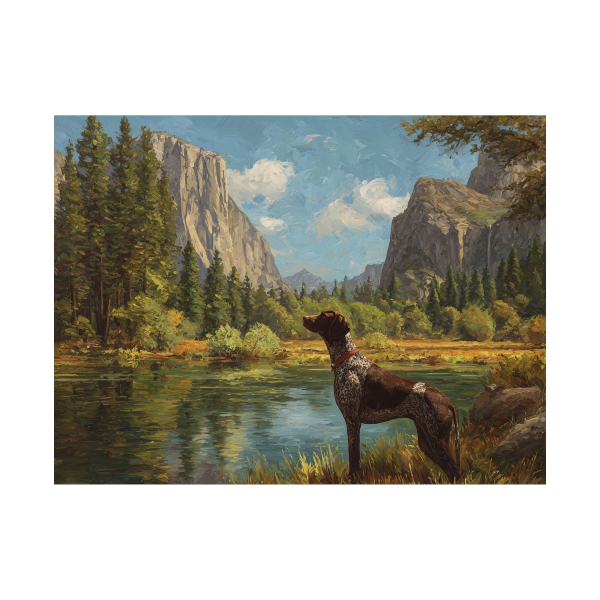 German Short Haired Pointer 1- Adventure Paws Collection