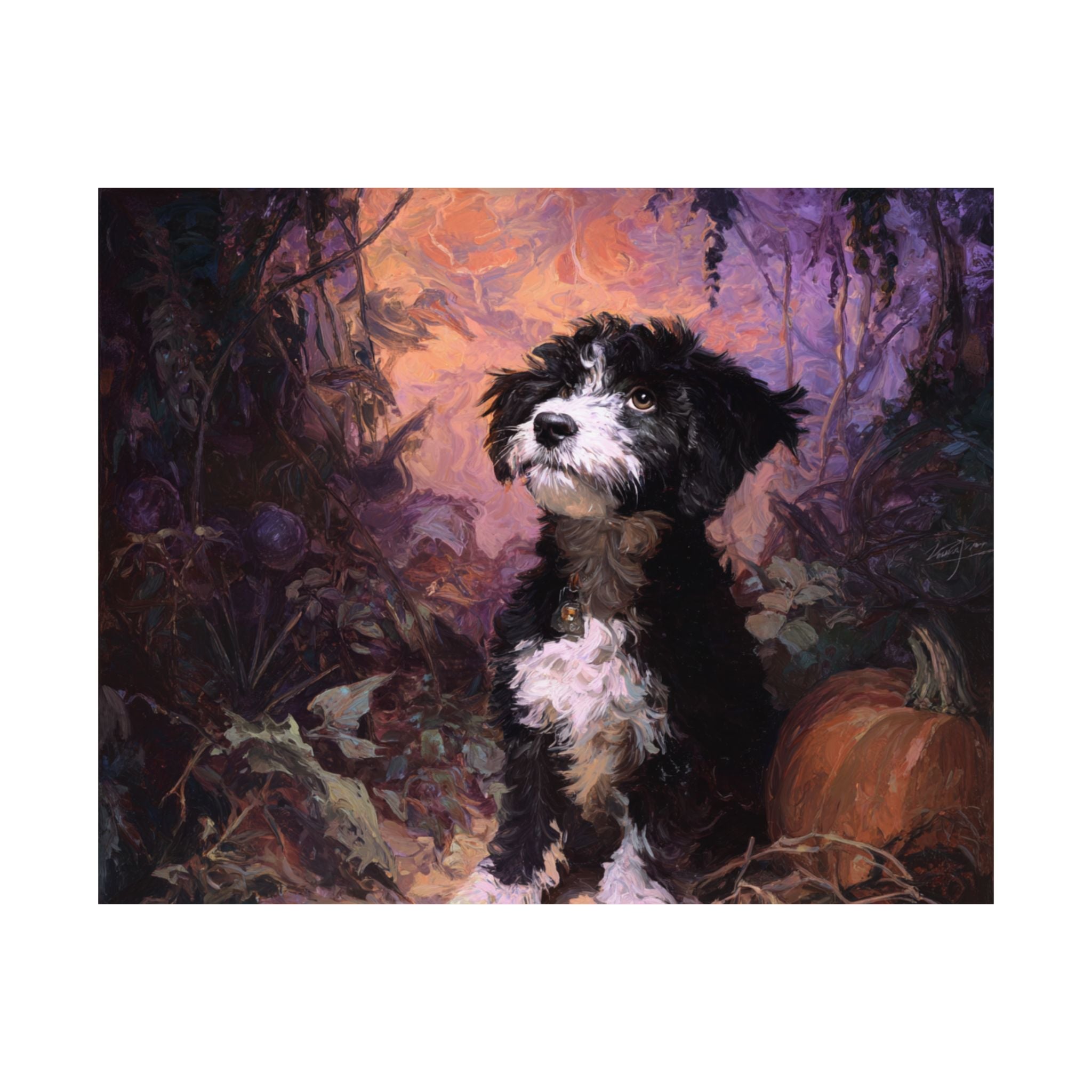 Aussiedoodle 5- Howl-oween Collection