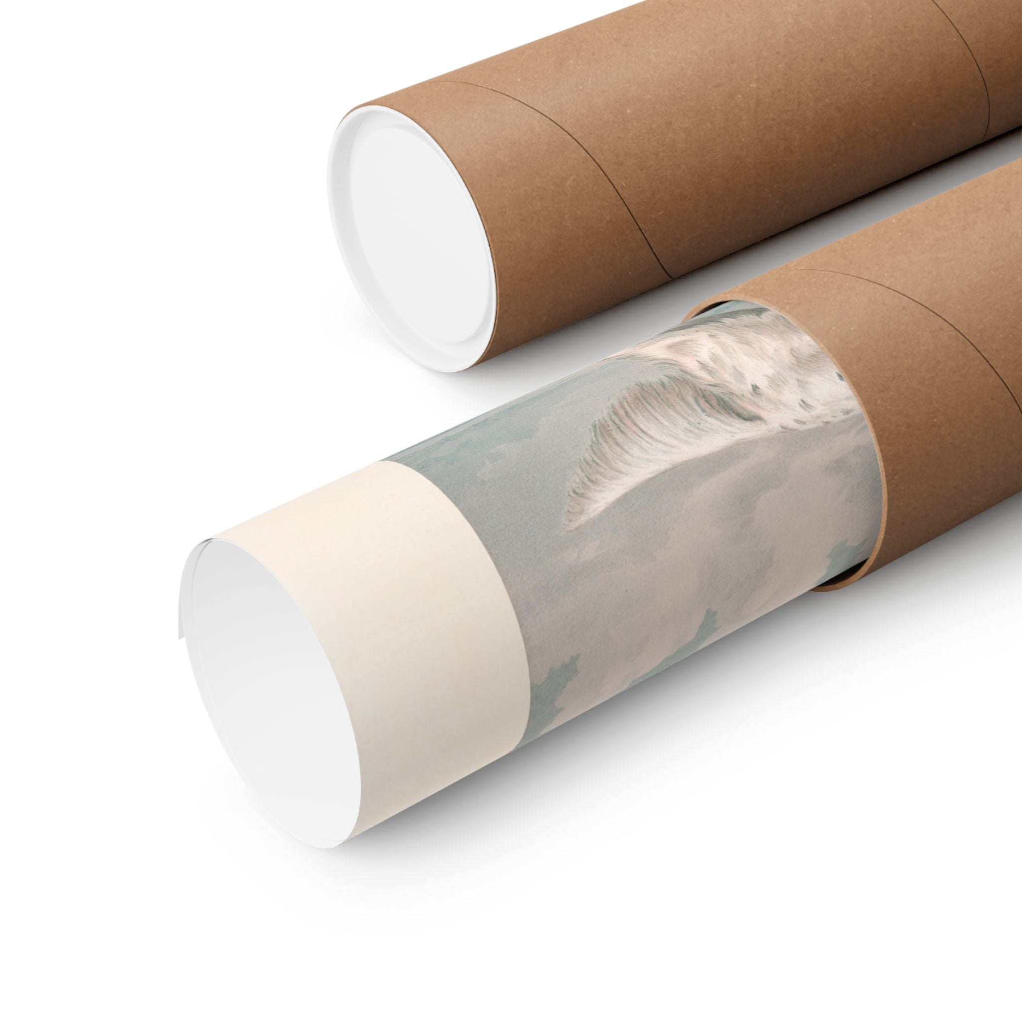 Llewellin Setter- Pope Collection