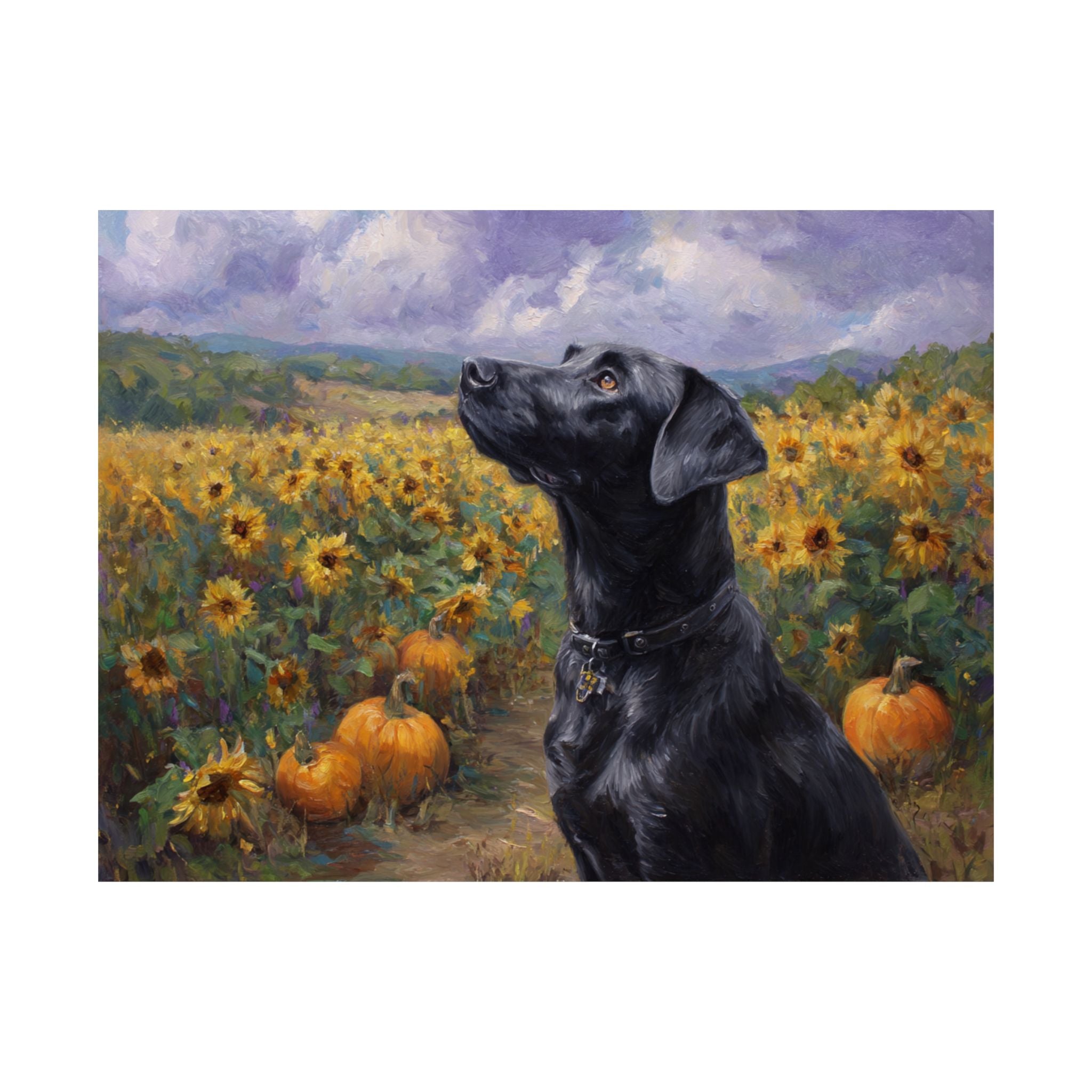 Labrador Retriever 2- Sunflower Season Collection