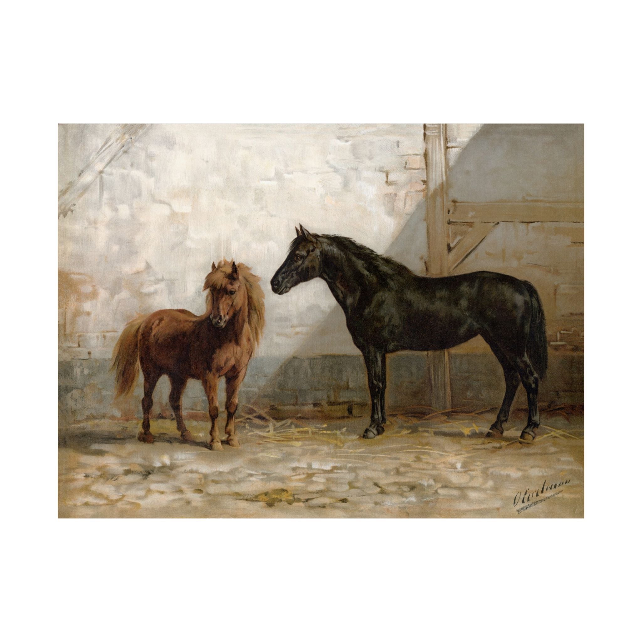 Ponies- Eerelman Collection