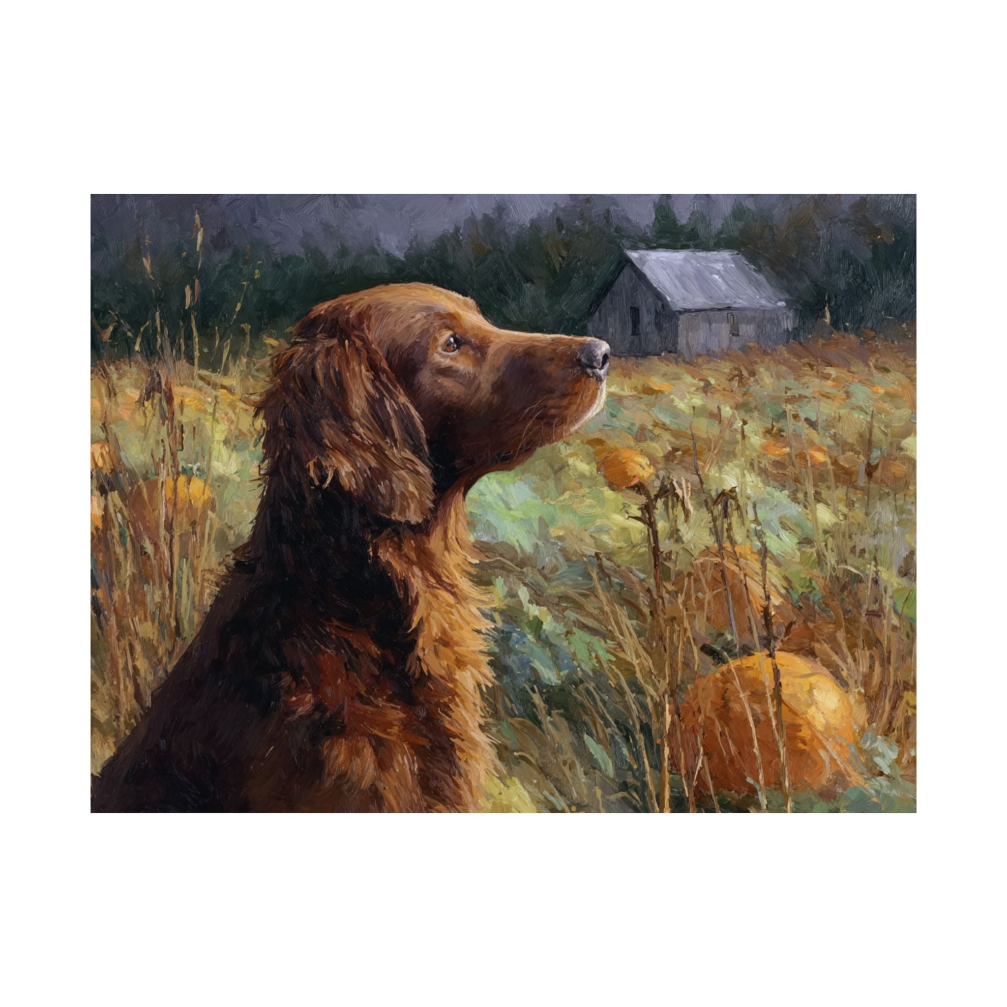 Irish Setter 1- Pumpkin Patch Collection