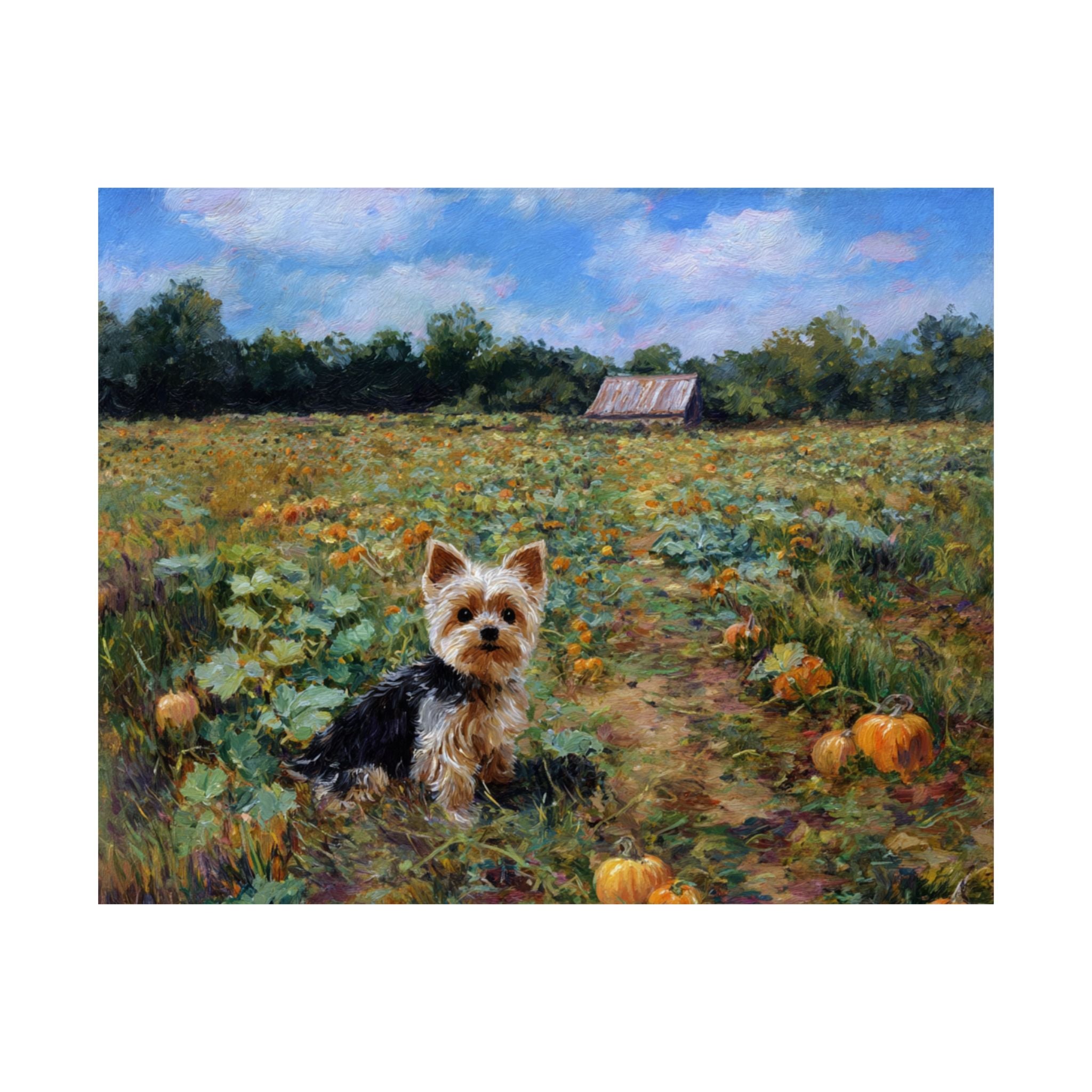 Yorkshire Terrier 4- Pumpkin Patch Collection