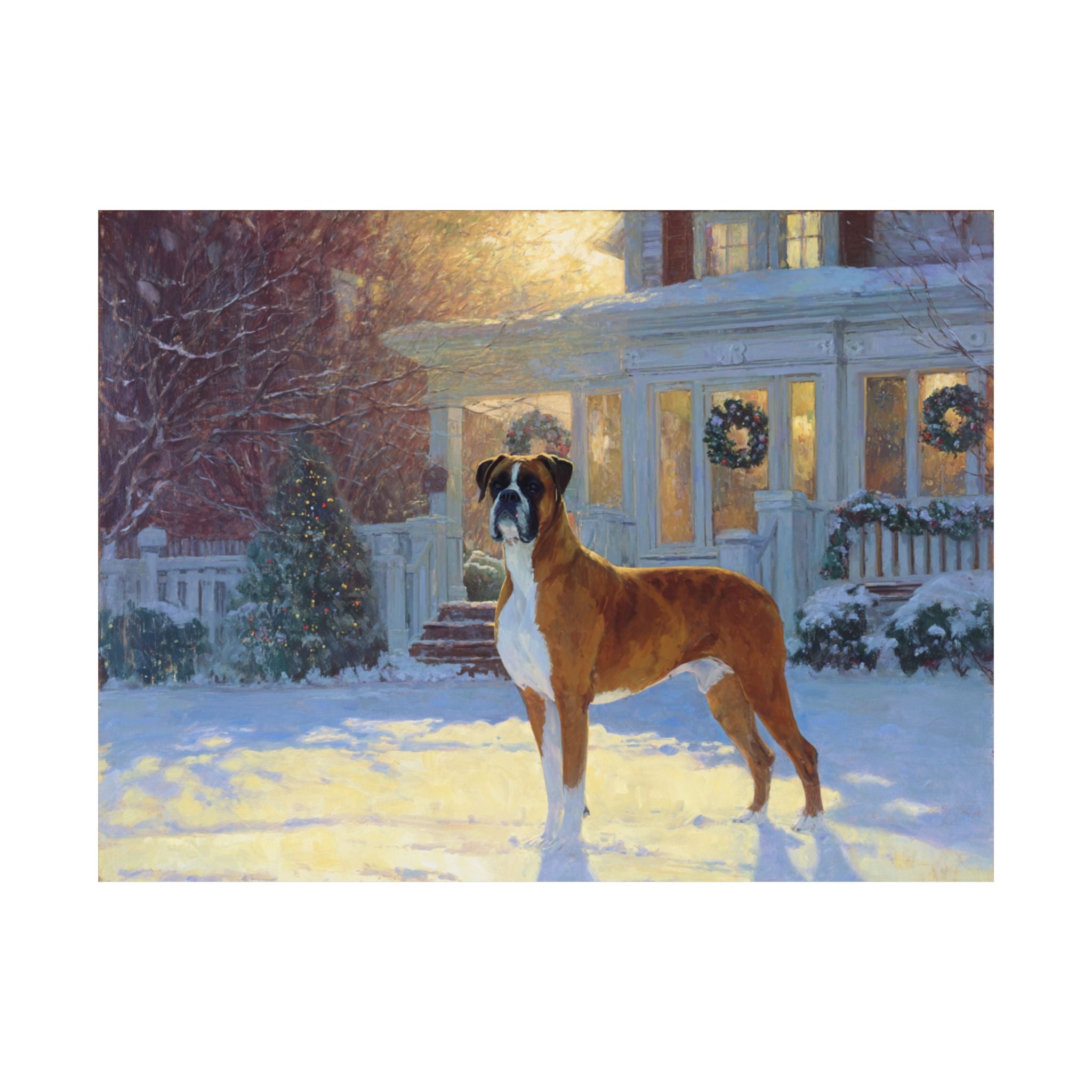 Boxer 7- Home for the Holidays Collection