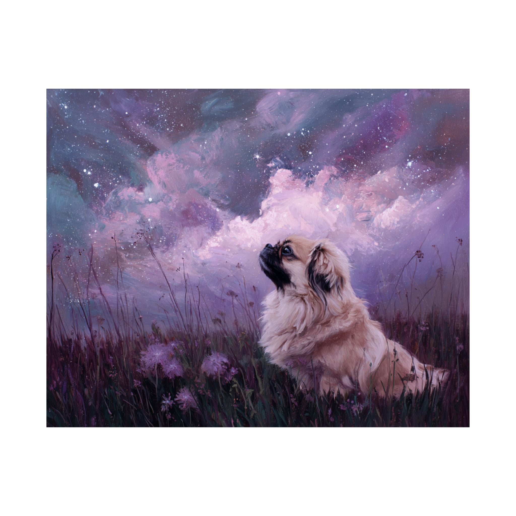 Pekingese 4- Dreamy Companions Collection