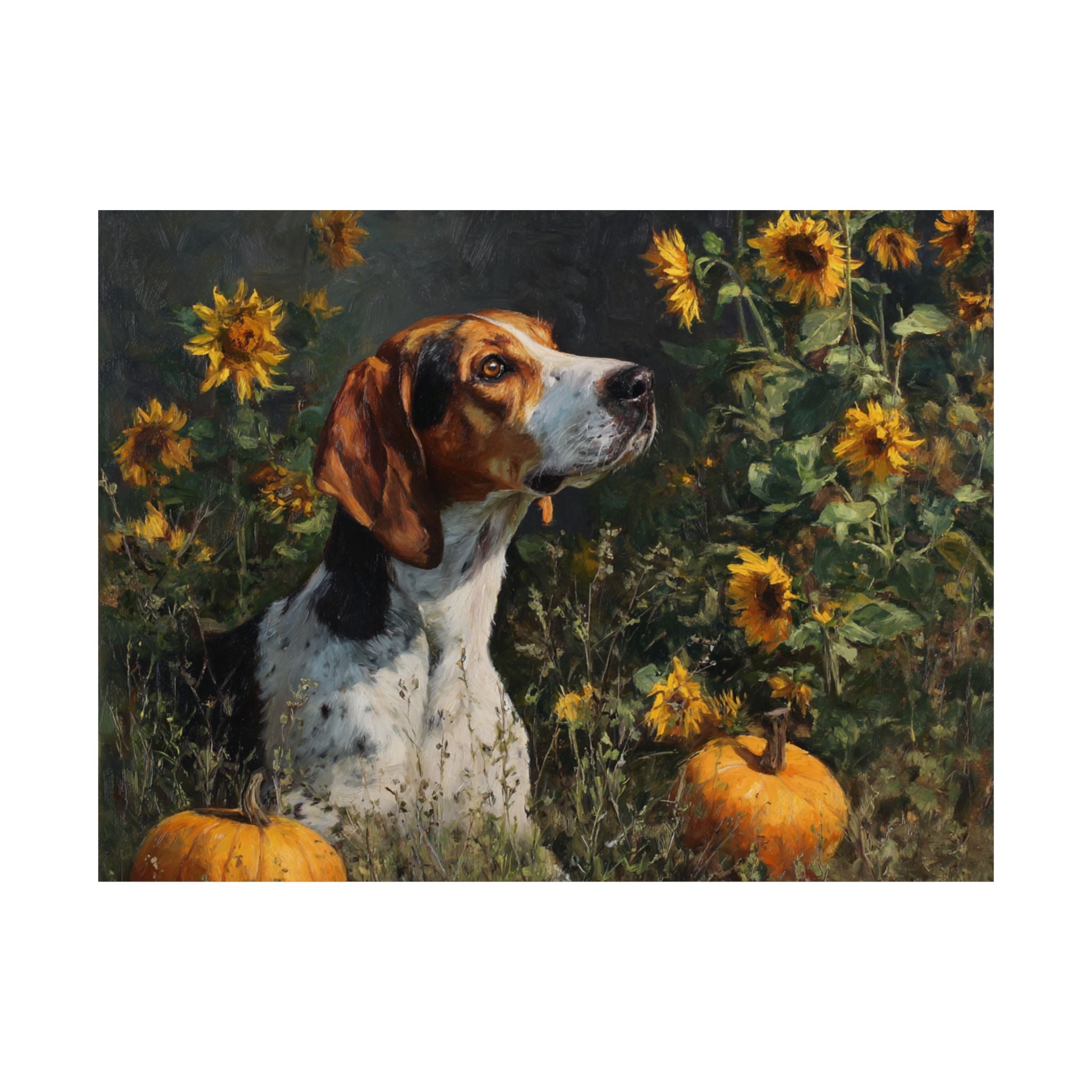 Hound Dog 3- Sunflower Season Collection